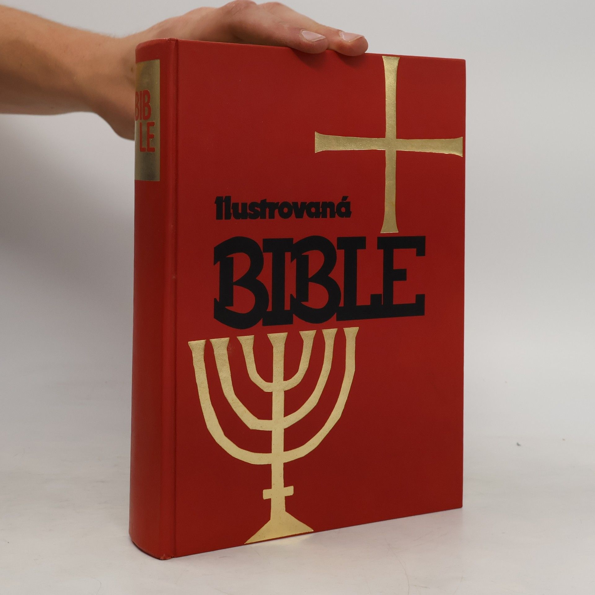 Kolektiv autorů Ilustrovaná Bible pro mládež
