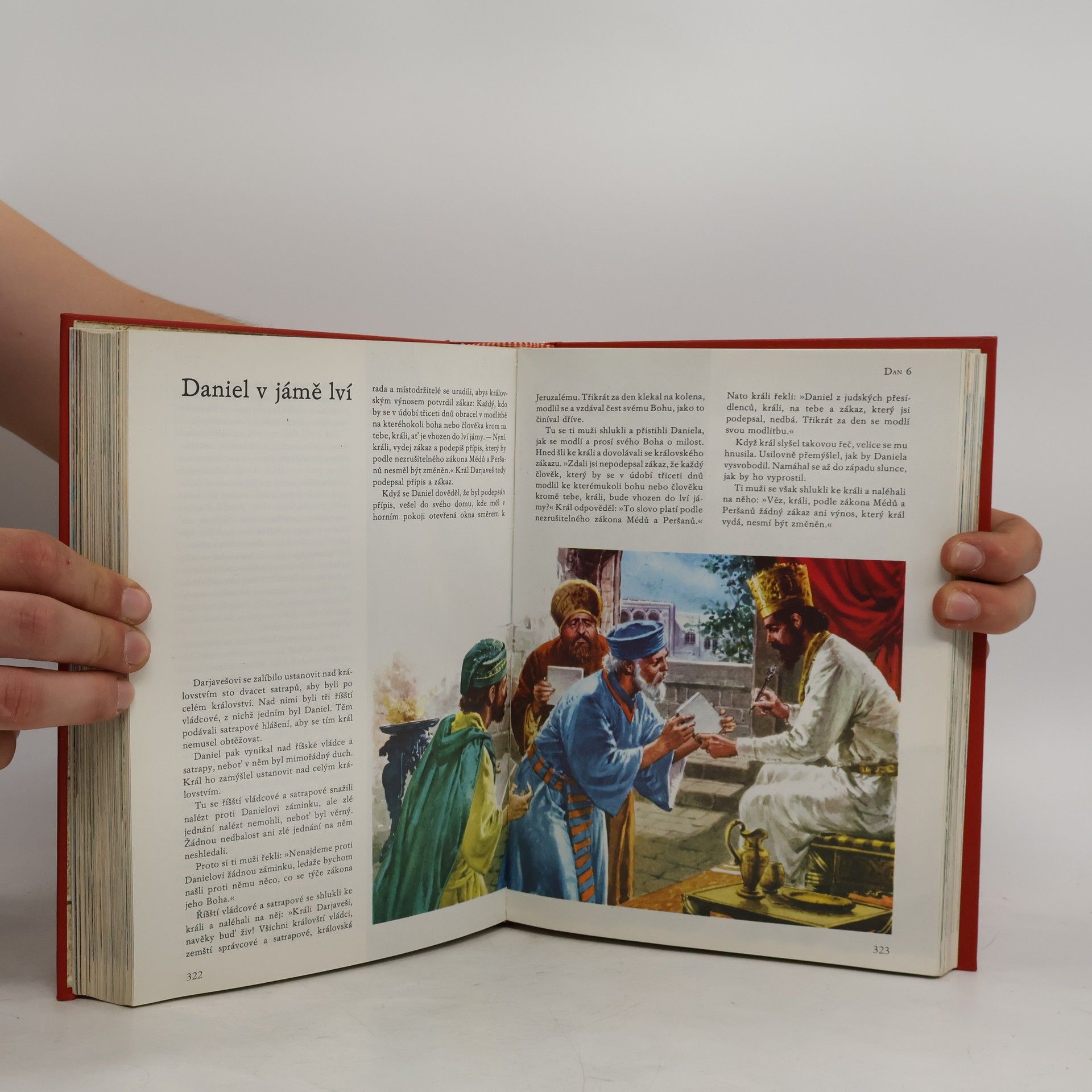 Kolektiv autorů Ilustrovaná Bible pro mládež