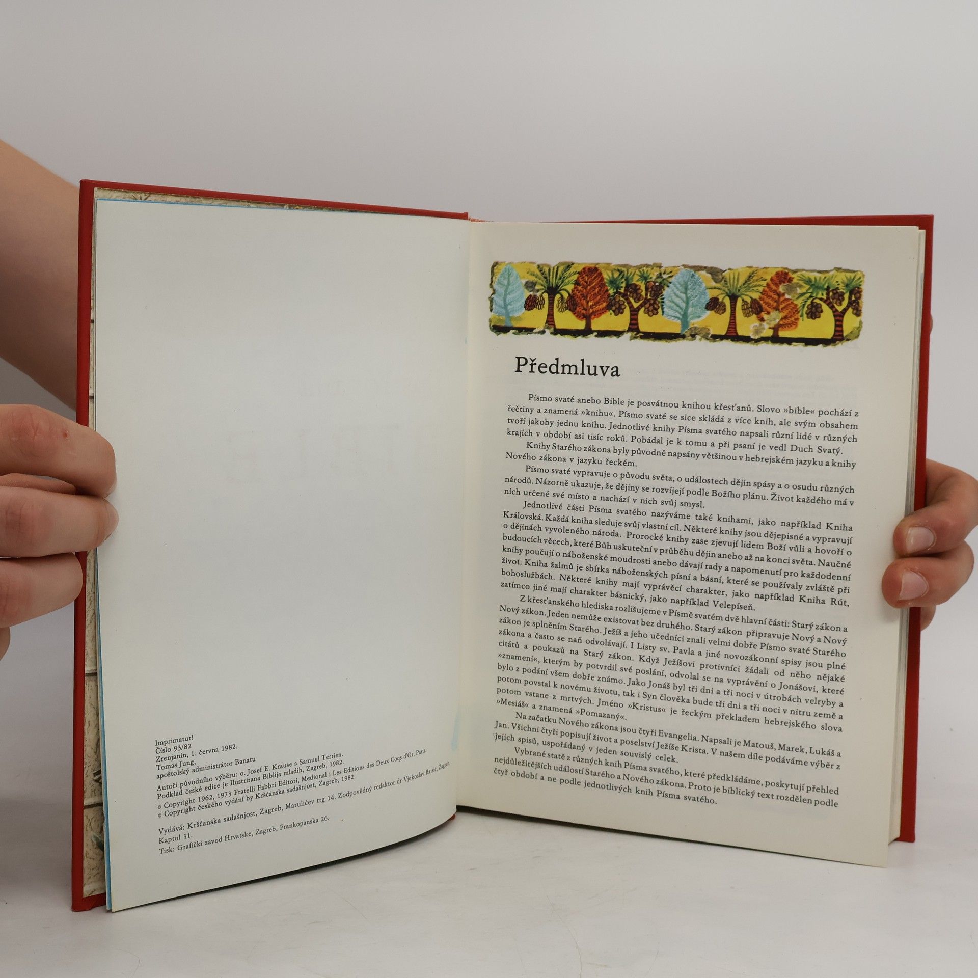 Kolektiv autorů Ilustrovaná Bible pro mládež