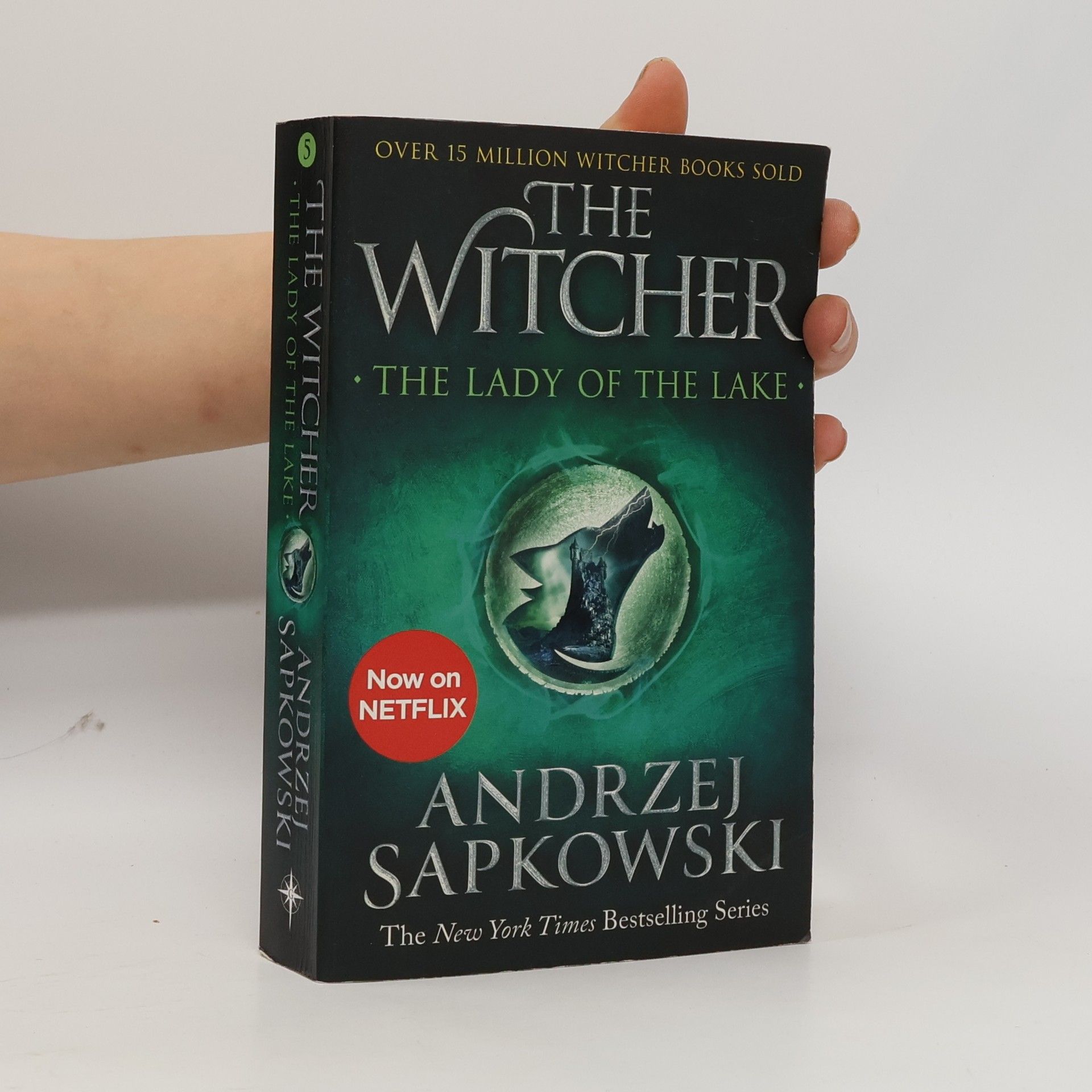 Andrzej Sapkowski The Lady of the Lake