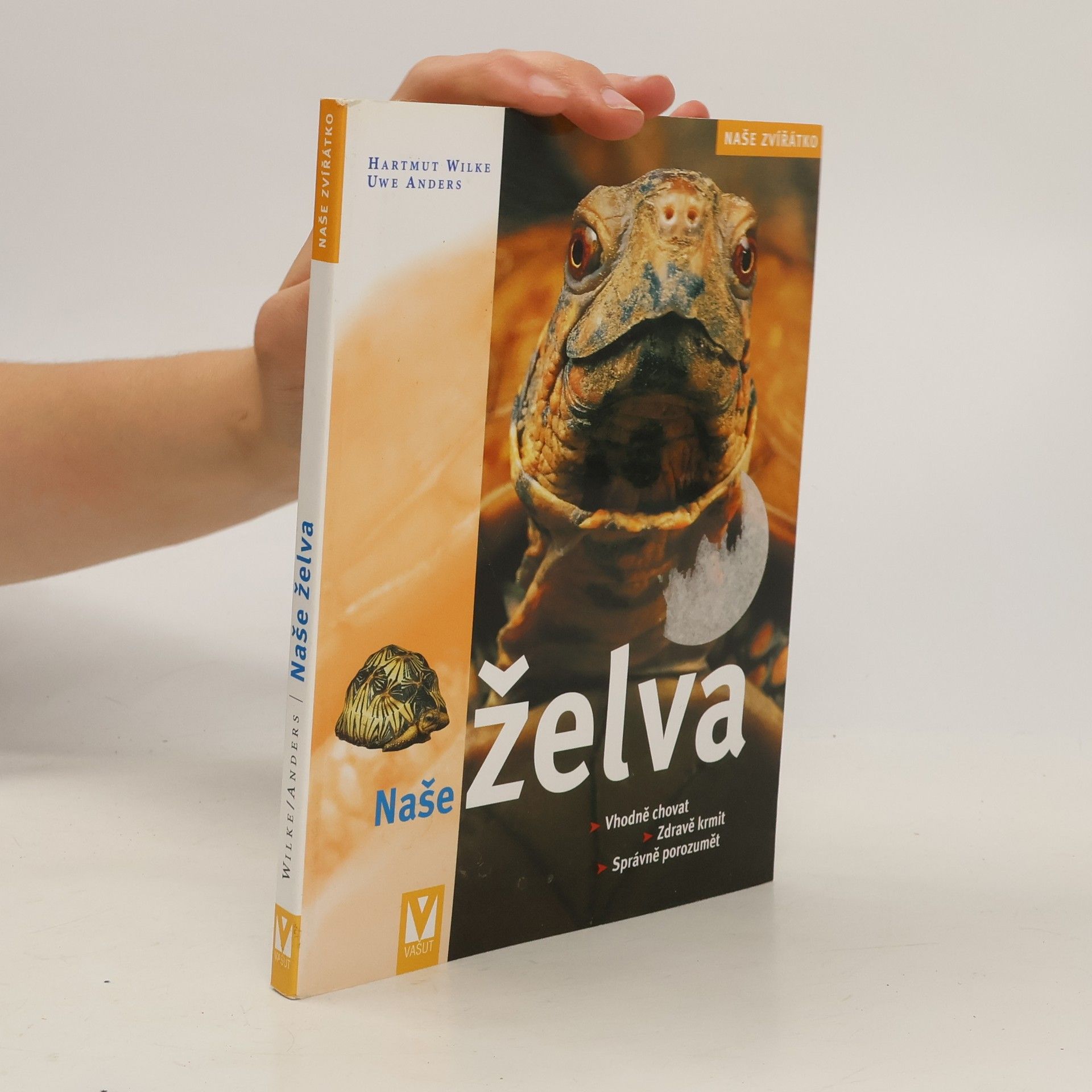 Naše želva
