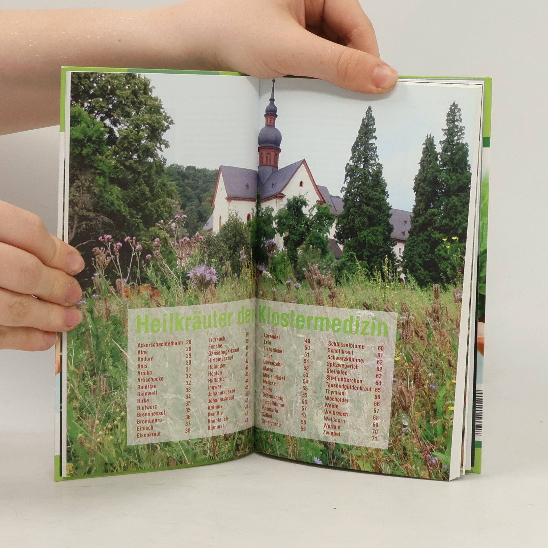 Kolektiv autorů Klostermedizin