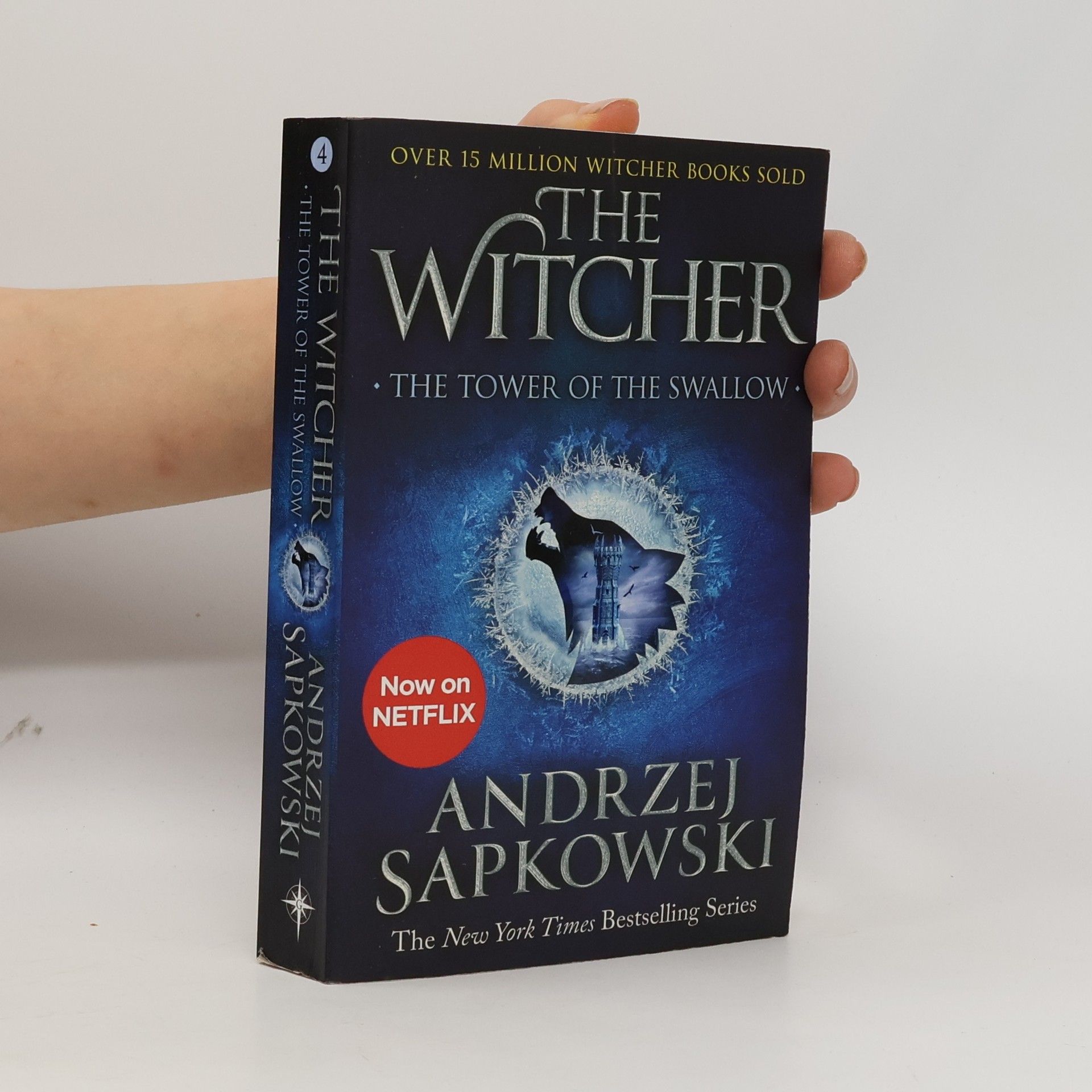 Andrzej Sapkowski The Tower of the Swallow