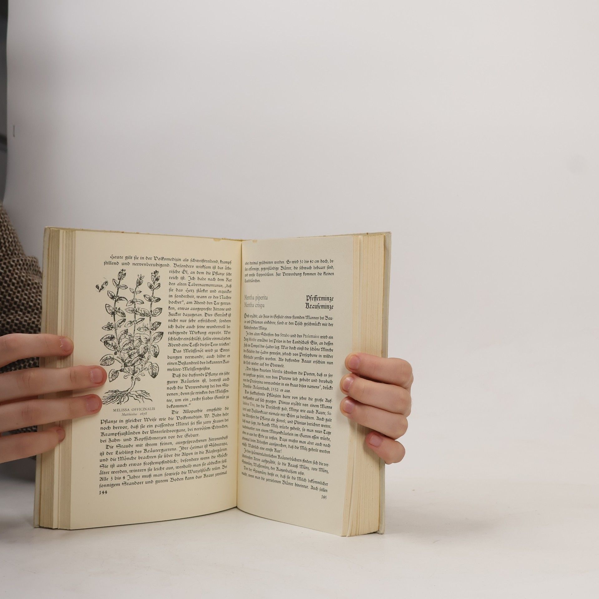 Autorenkollektiv Gottessegen der Kräuter