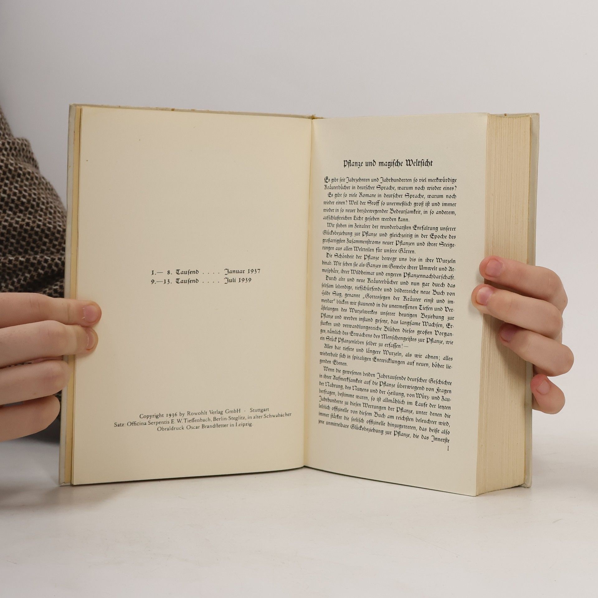 Autorenkollektiv Gottessegen der Kräuter