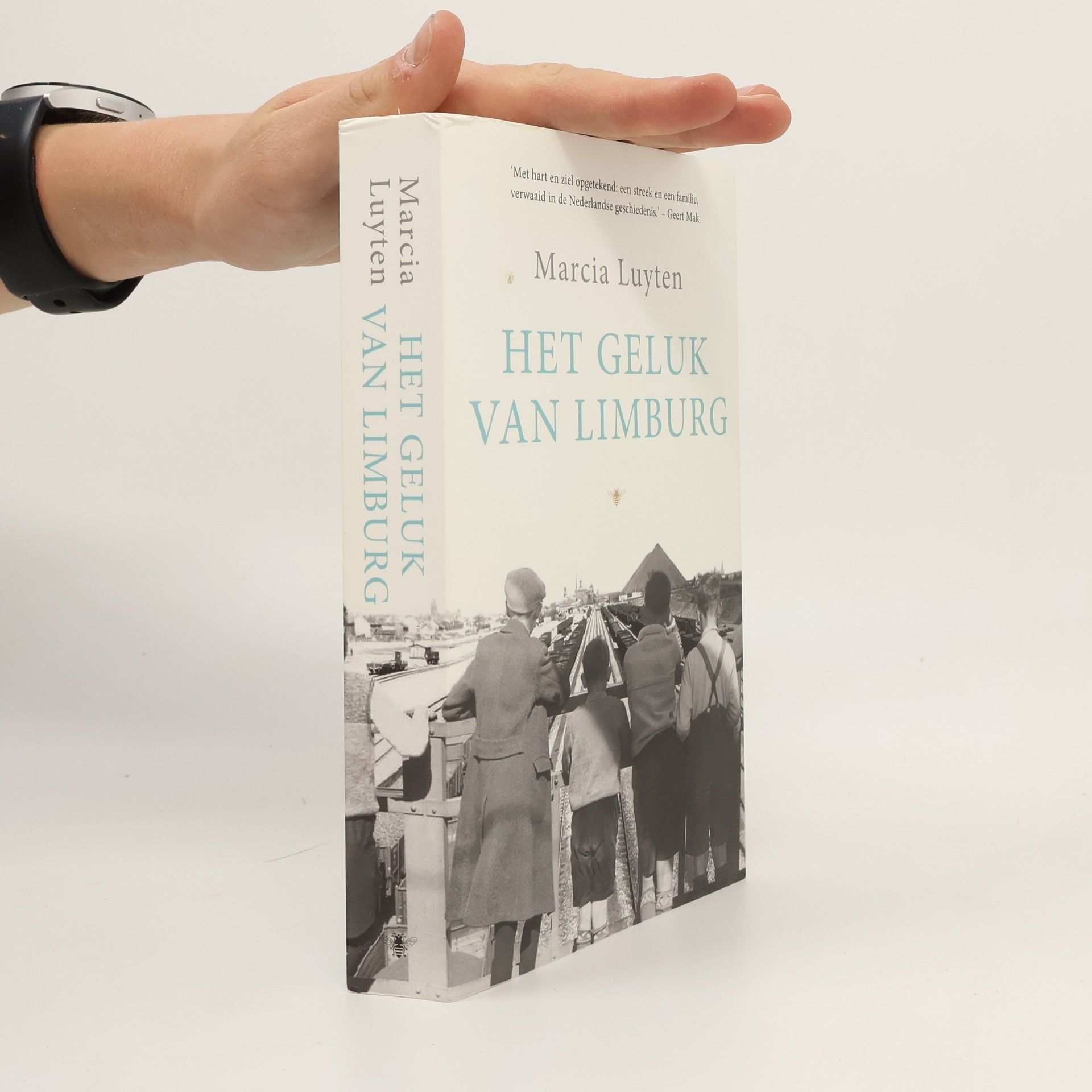 Marcia Luyten Het geluk van Limburg