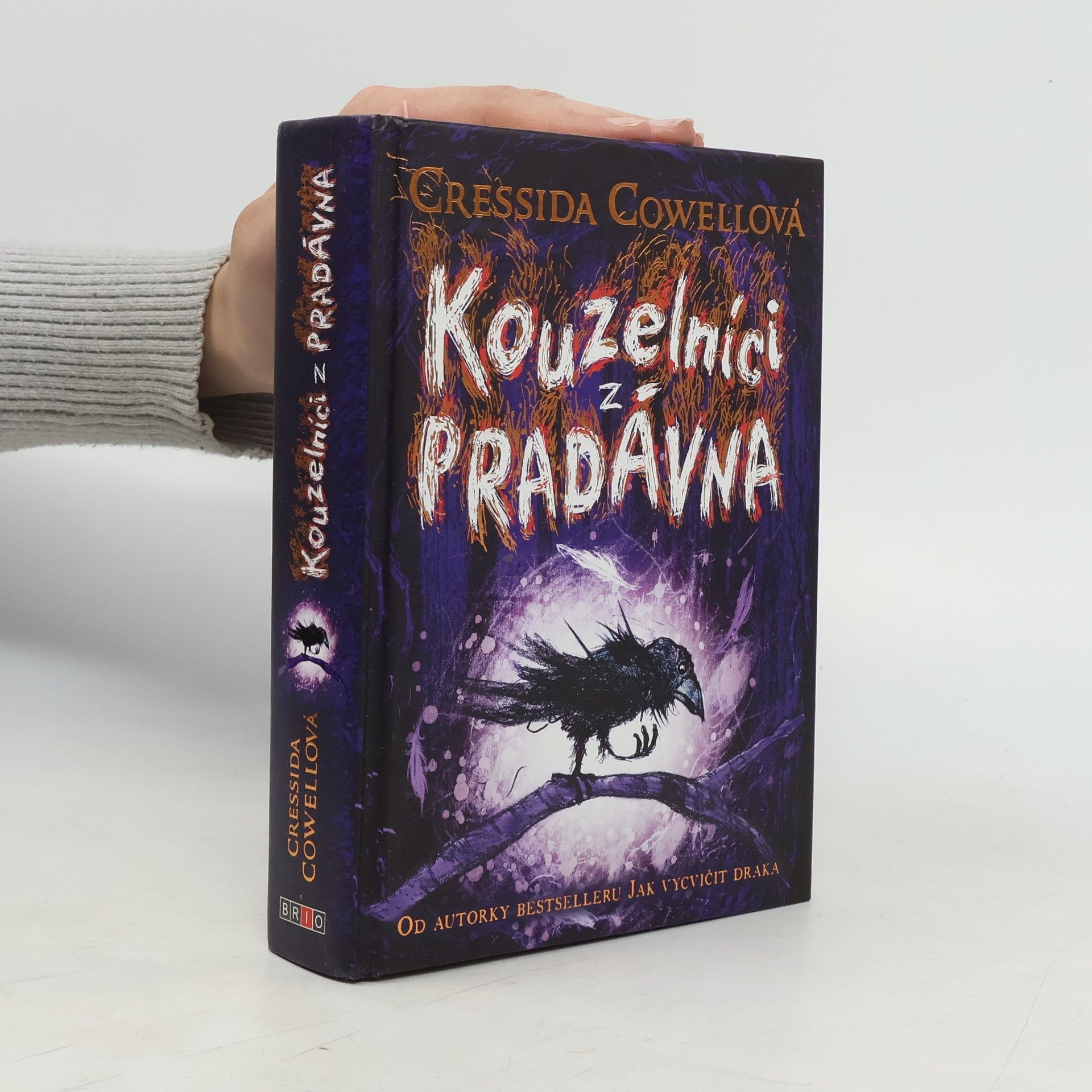 Cressida Cowell Kouzelníci z pradávna