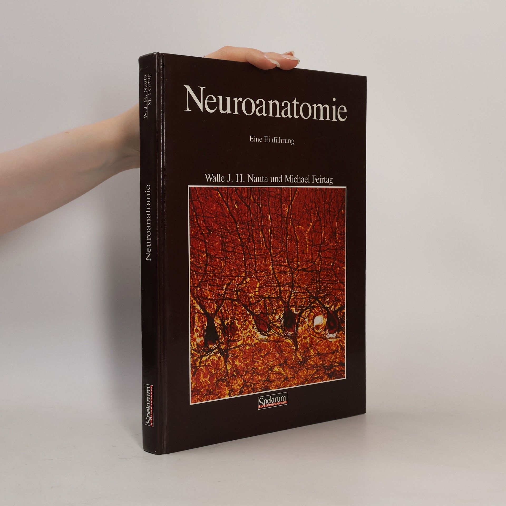 Michael Feirtag Neuroanatomie