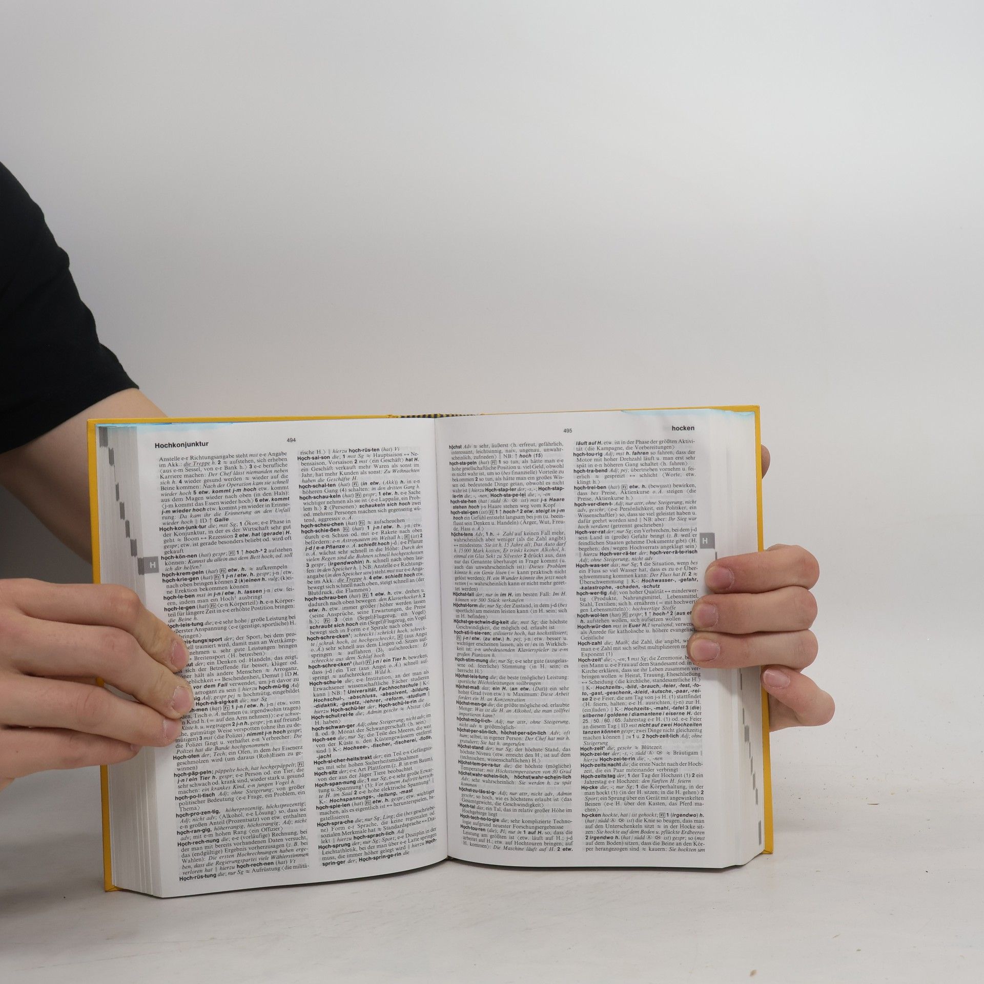 J. Docherty Langenscheidts Großwörterbuch Deutsch als Fremdsprache : das einsprachige Wörterbuch für alle, die Deutsch lernen : in der neuen deutschen Rechtschreibung