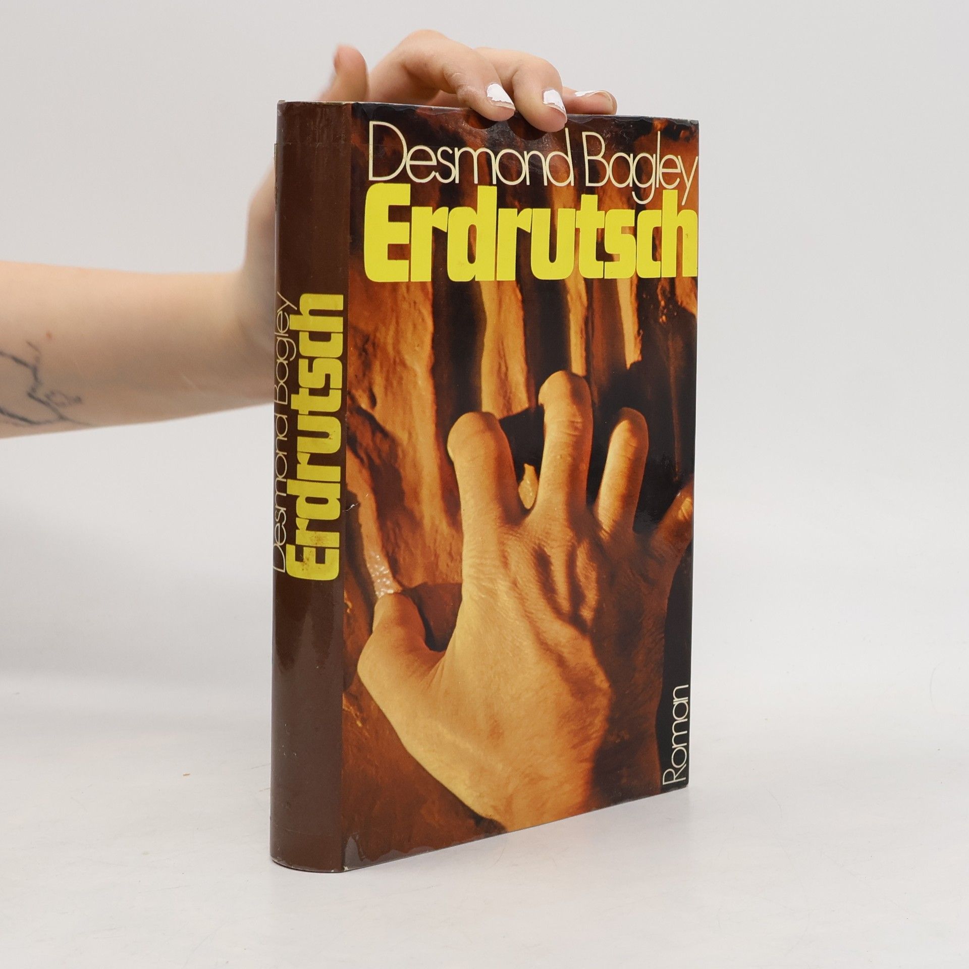 Desmond Bagley Erdrutsch