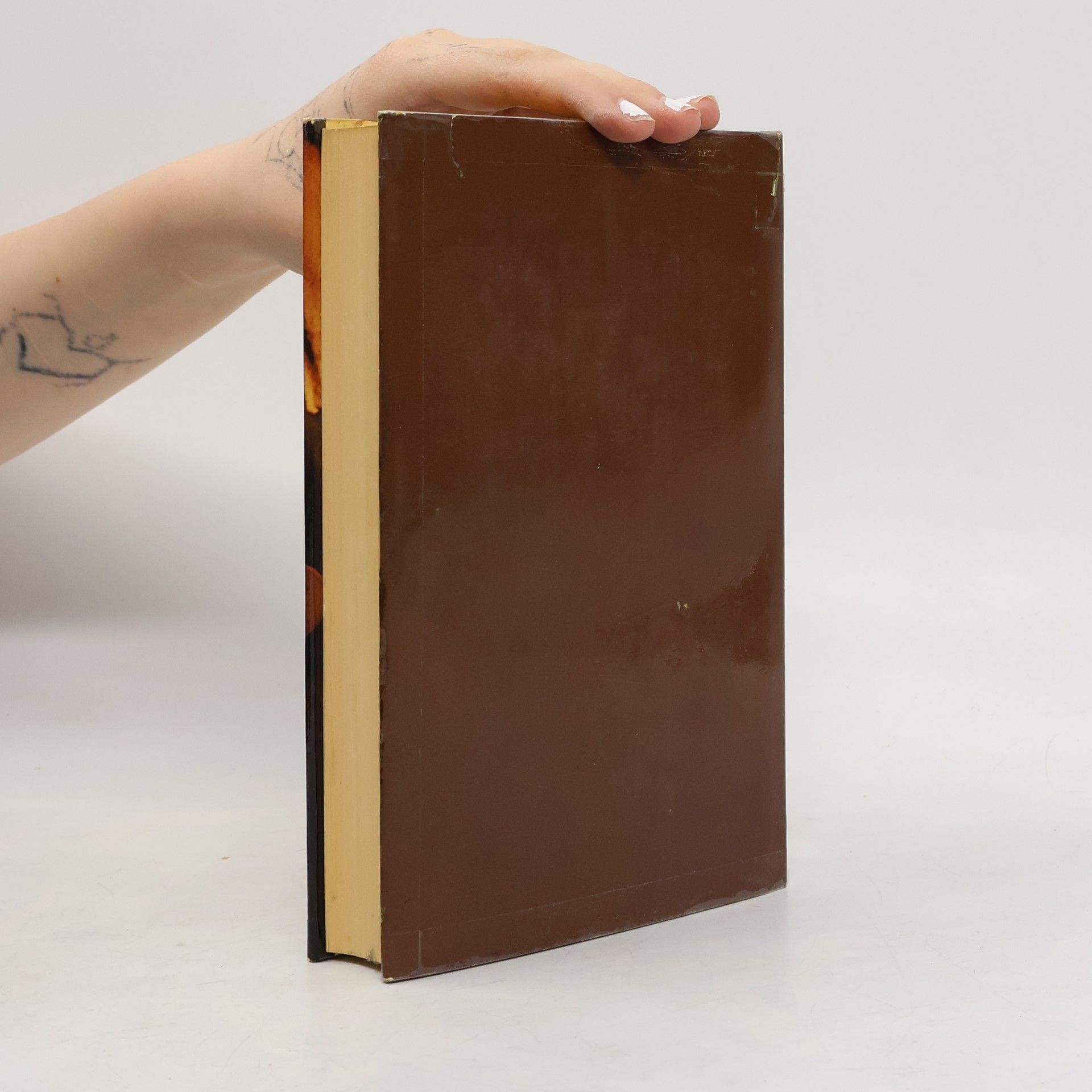 Desmond Bagley Erdrutsch