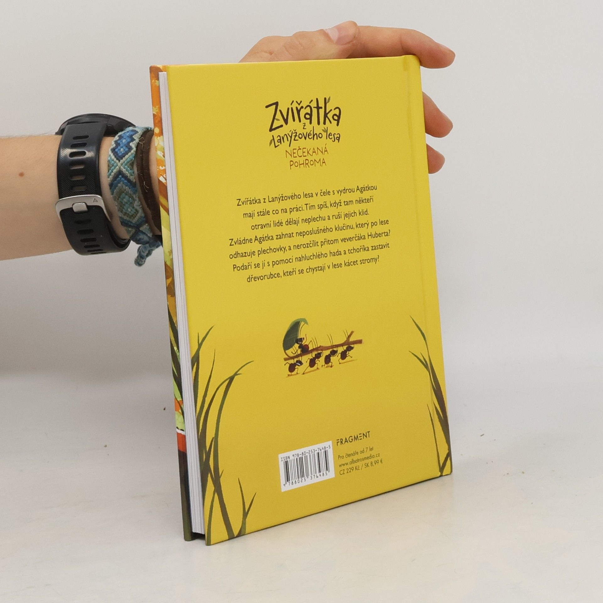 Anne Dumergue Zvířátka z Lanýžového lesa: Nečekaná pohroma