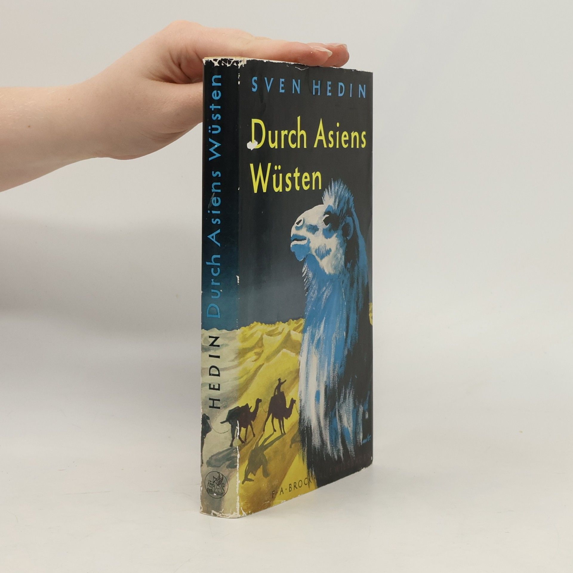 Sven Hedin Durch Asiens Wüsten