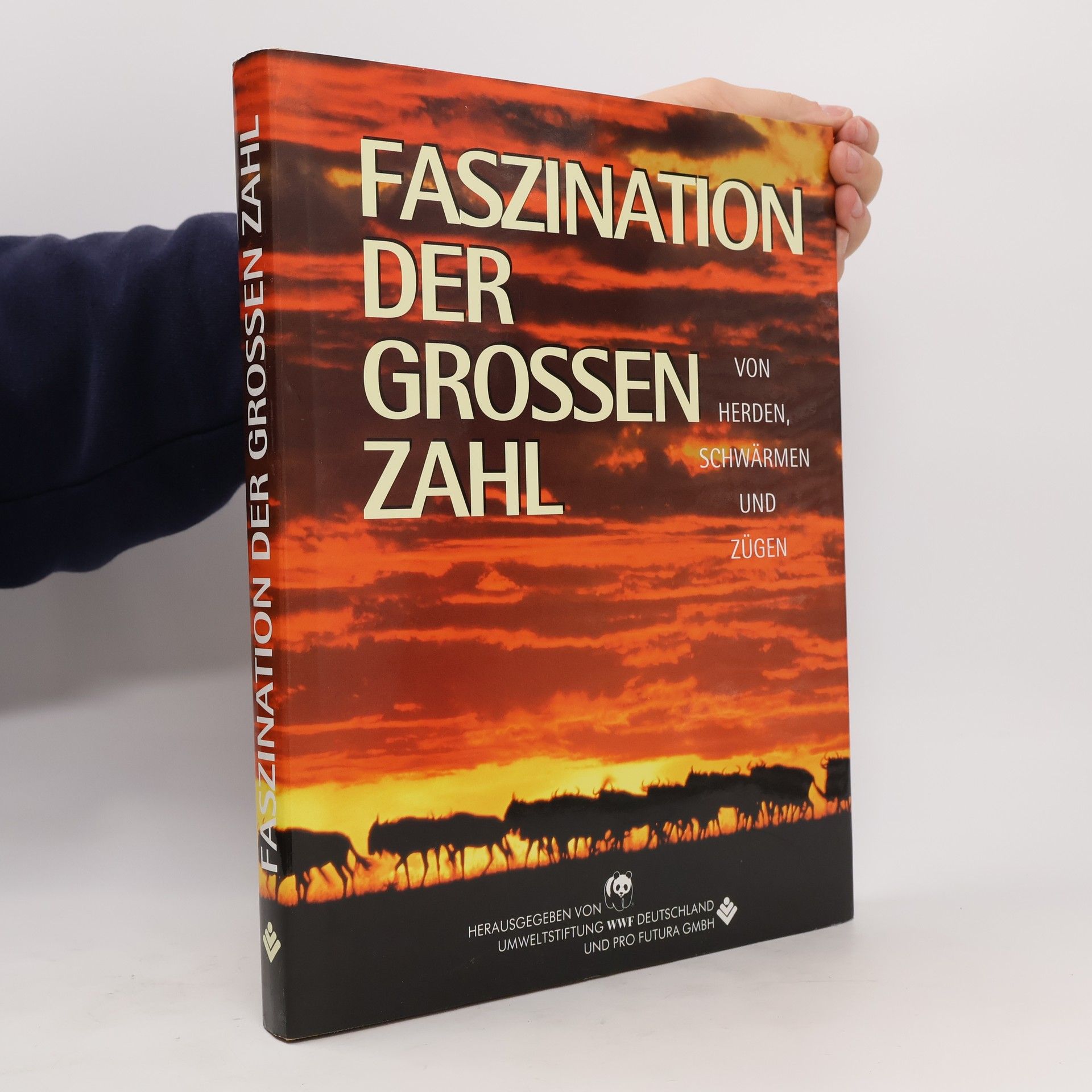 Kolektiv autorů Faszination der grossen zahl