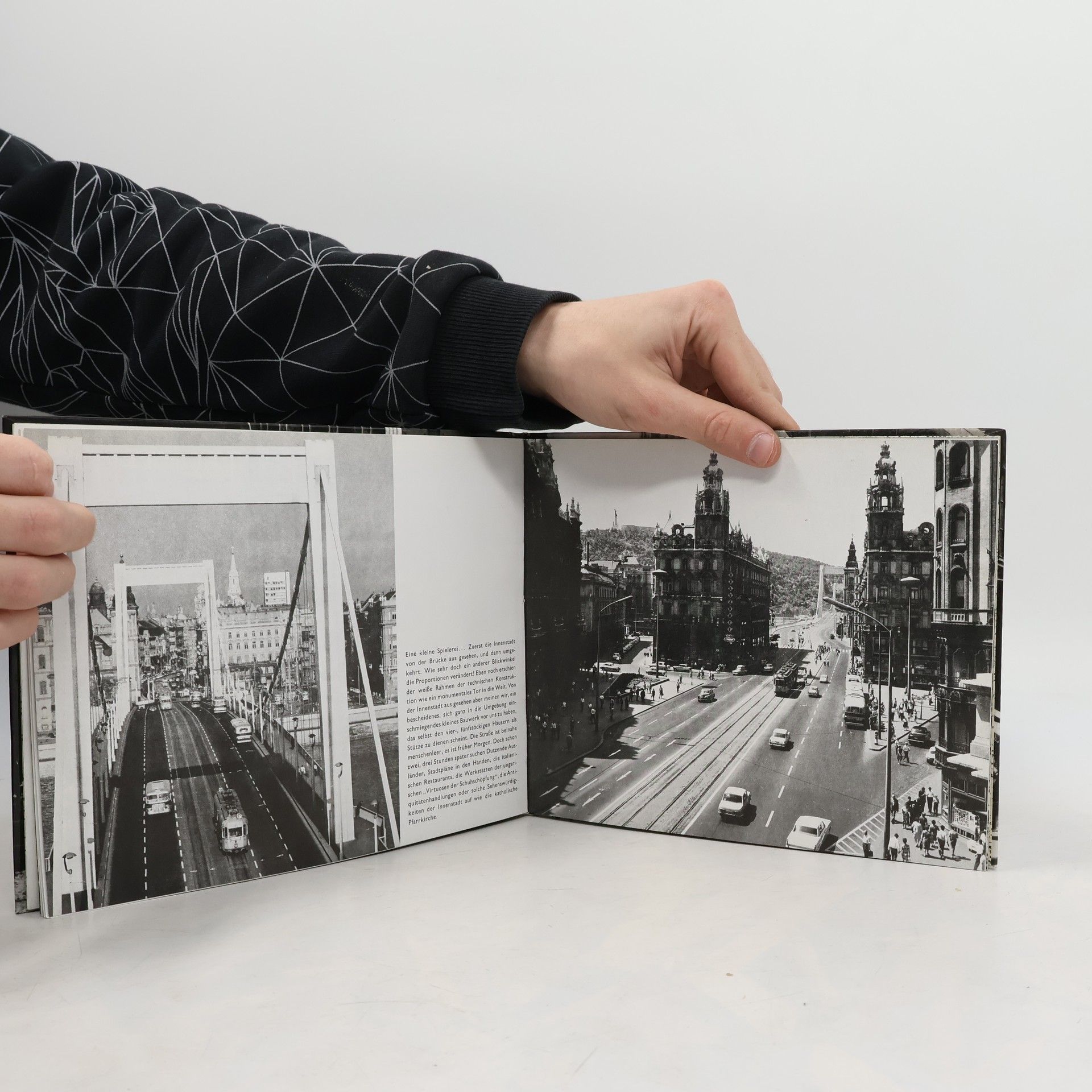 Lajos Czeizing Budapester Panoramen