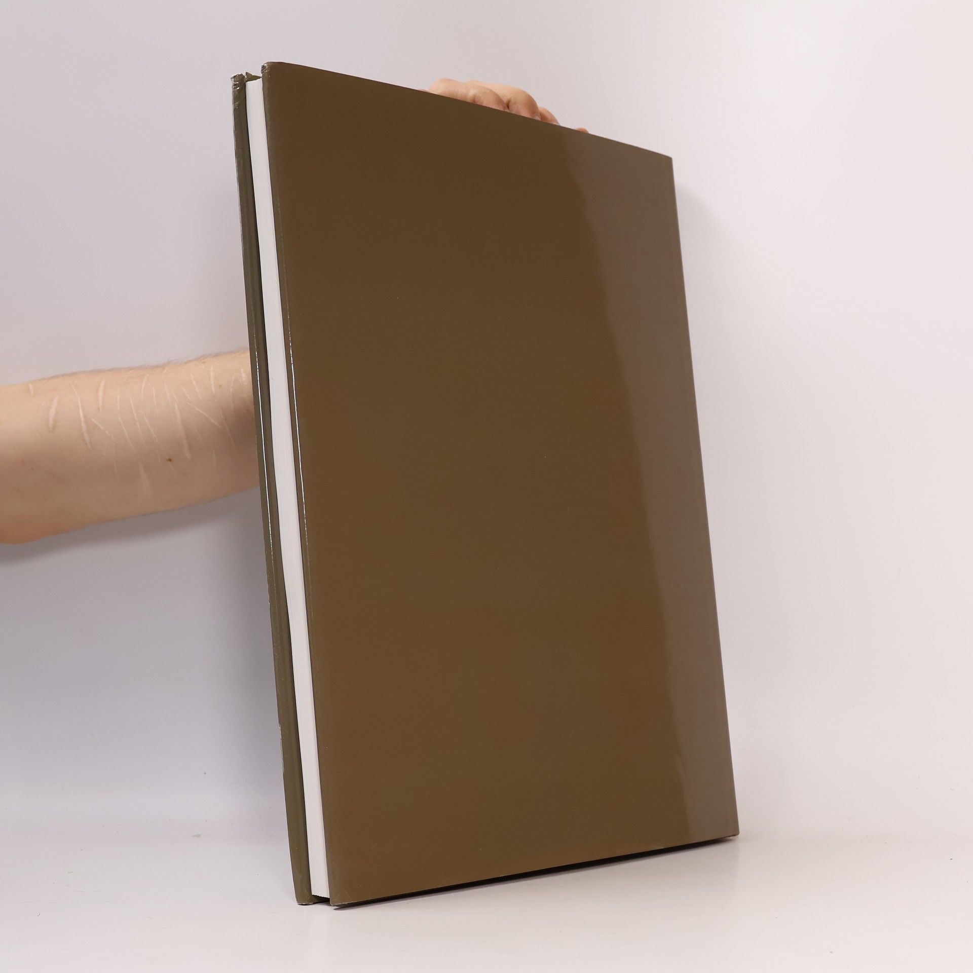 Ugo La Pietra Ad arte. Tradizione e innovazione