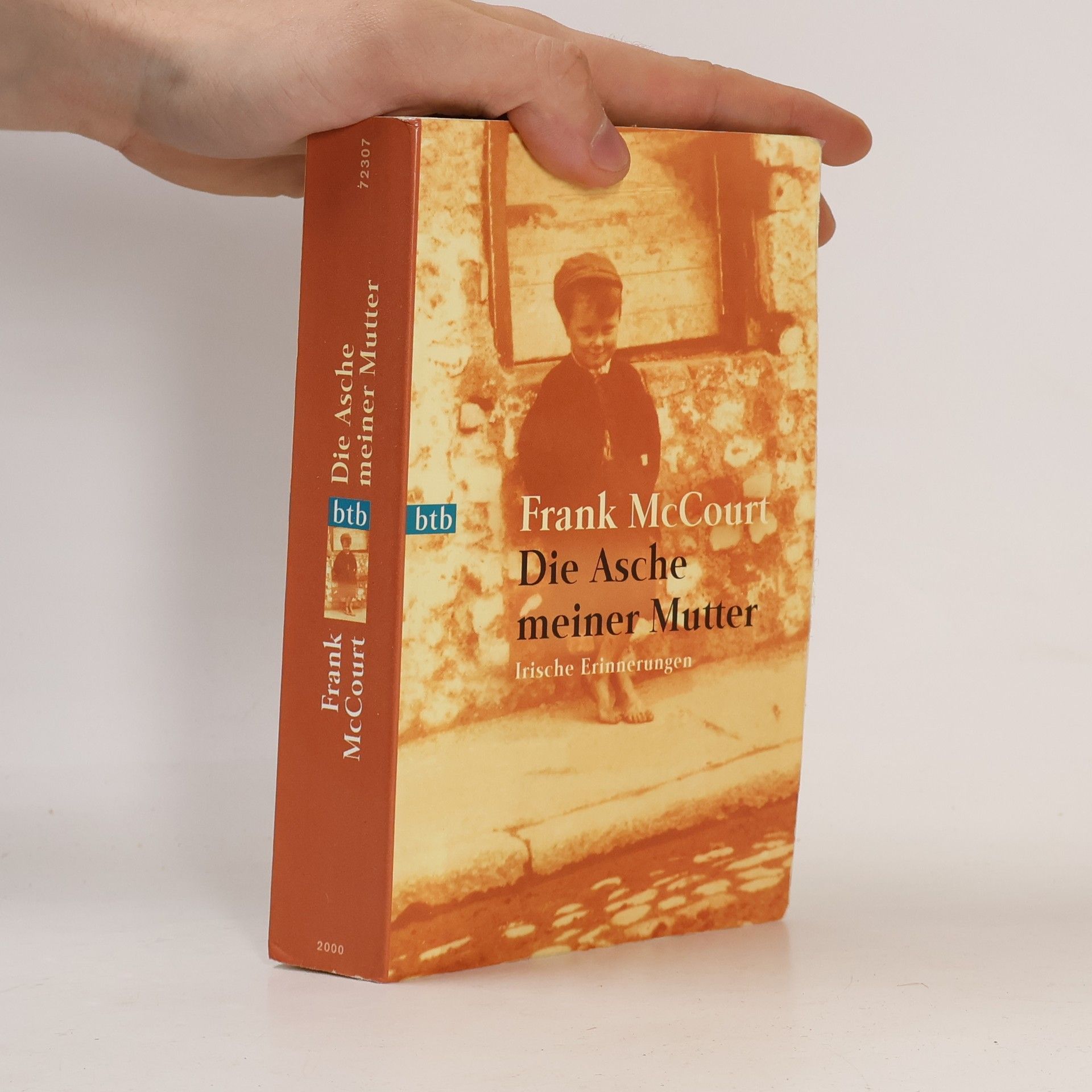 Frank McCourt Die Asche meiner Mutter