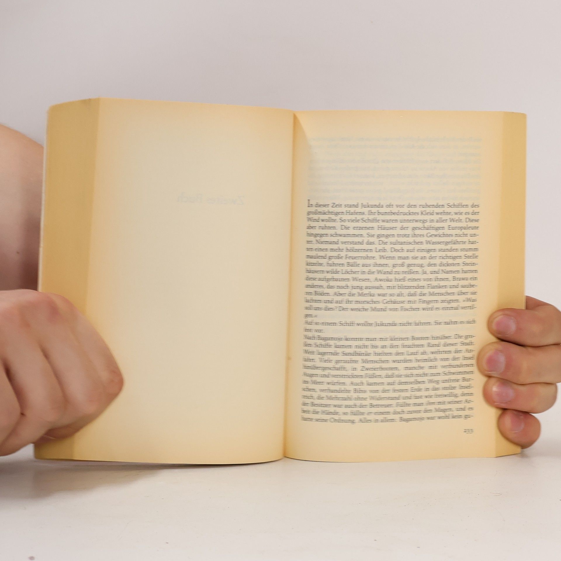 Arnold Krieger Geliebt, gejagt und unvergessen. Roman