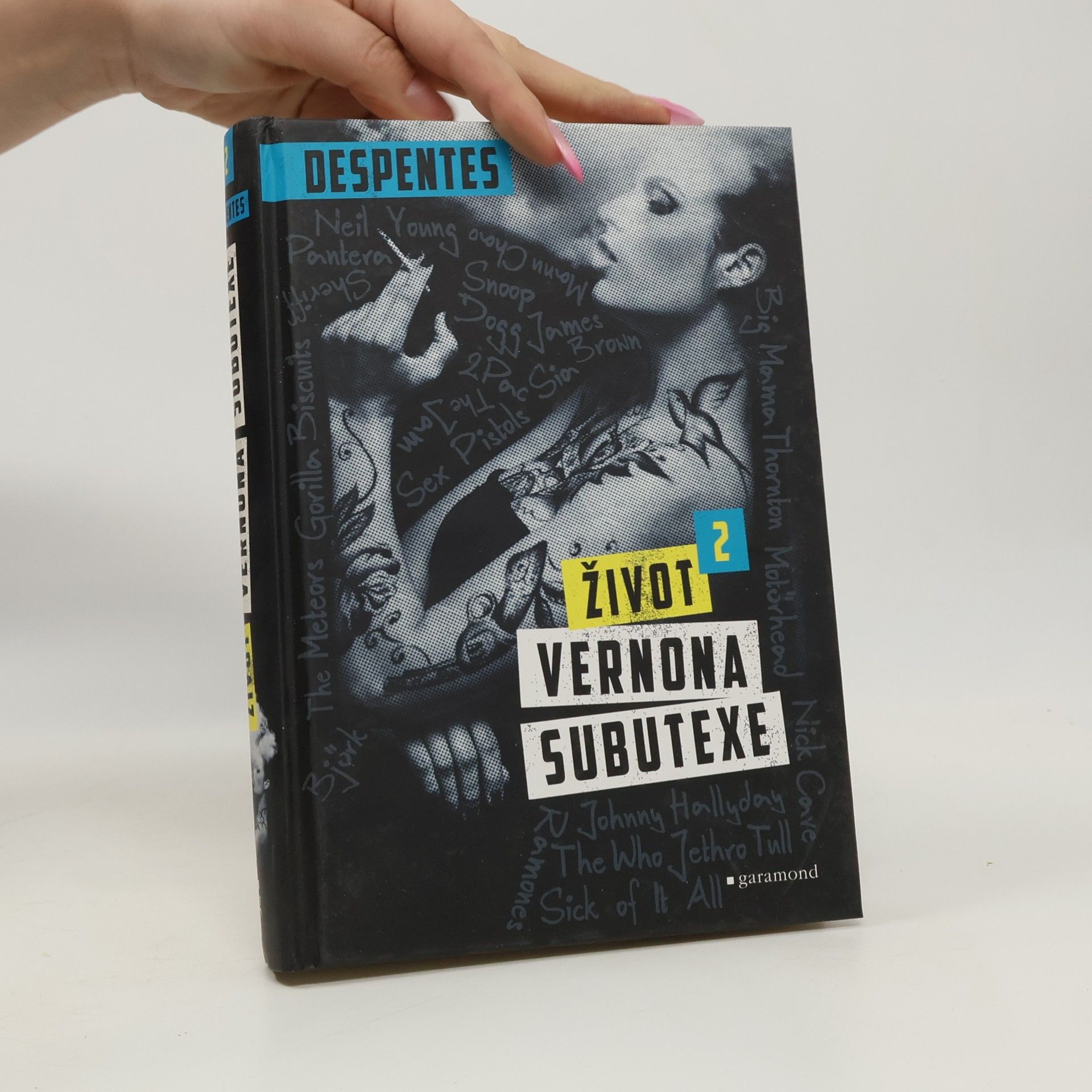 Virginie Despentes Život Vernona Subutexe. Díl 2