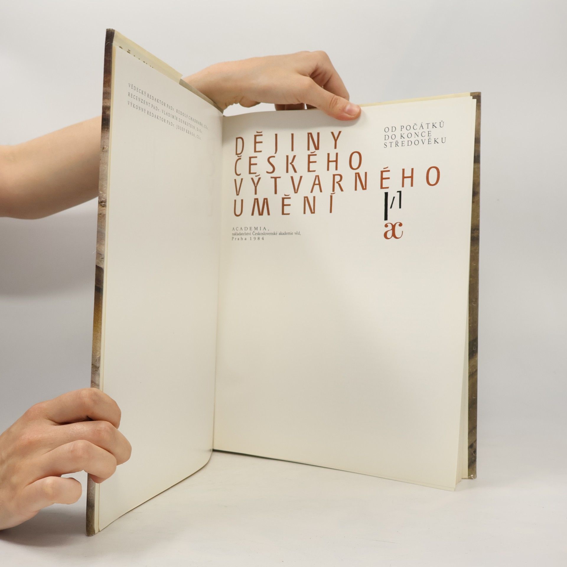 Autorenkollektiv Dějiny českého výtvarného umění I/1