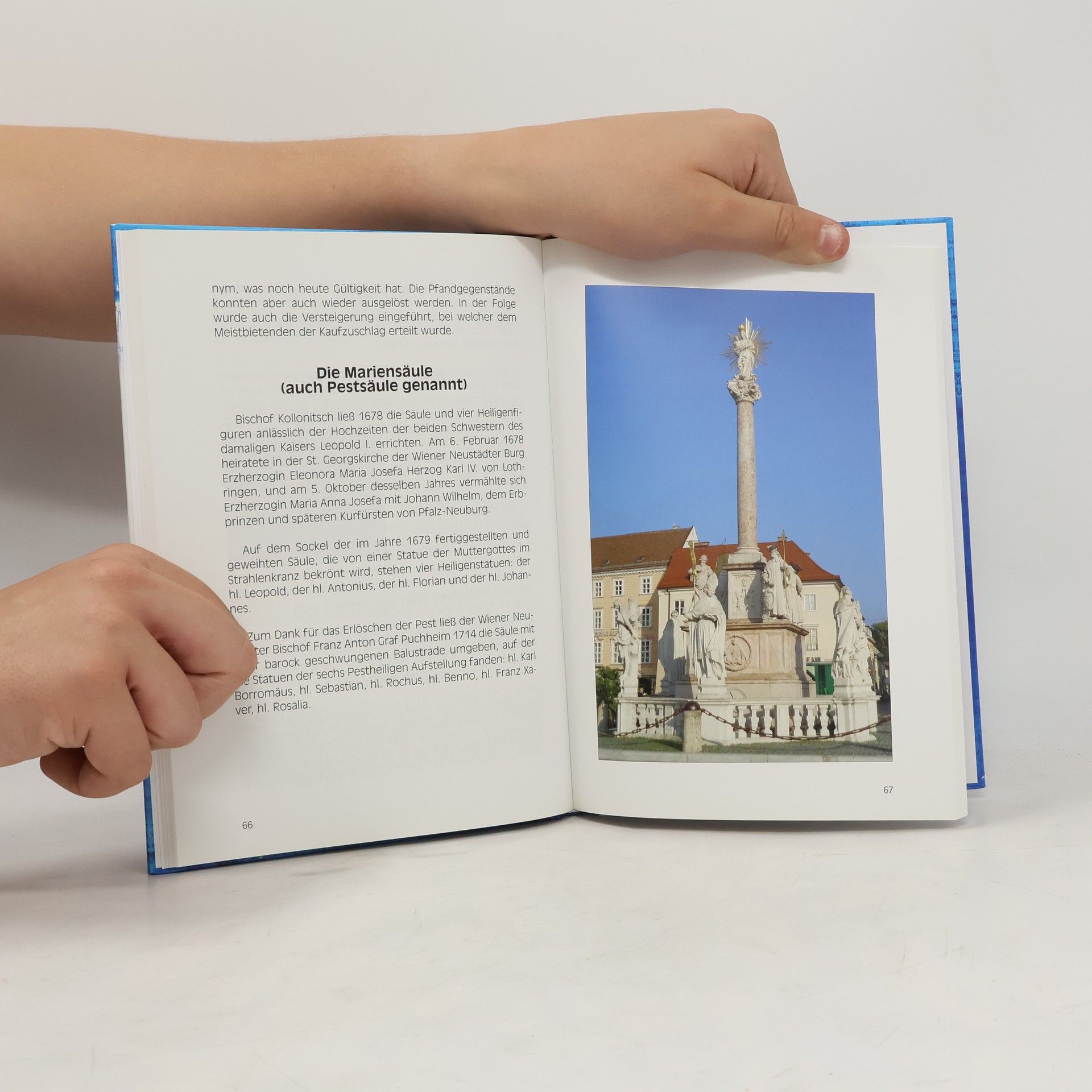 Autorenkollektiv Das Franzl-Buch. Wiener Neustadt