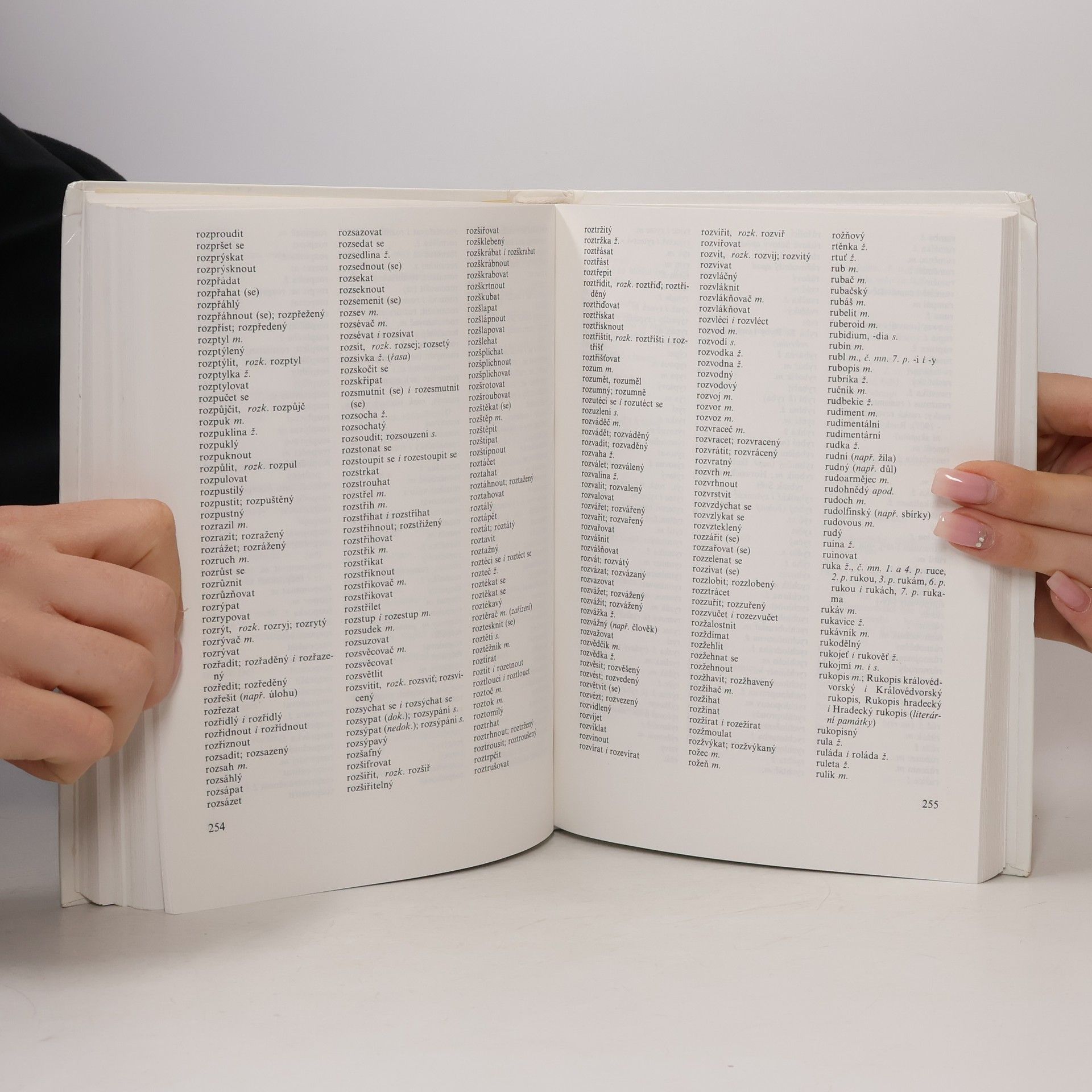 Autorenkollektiv Pravidla českého pravopisu