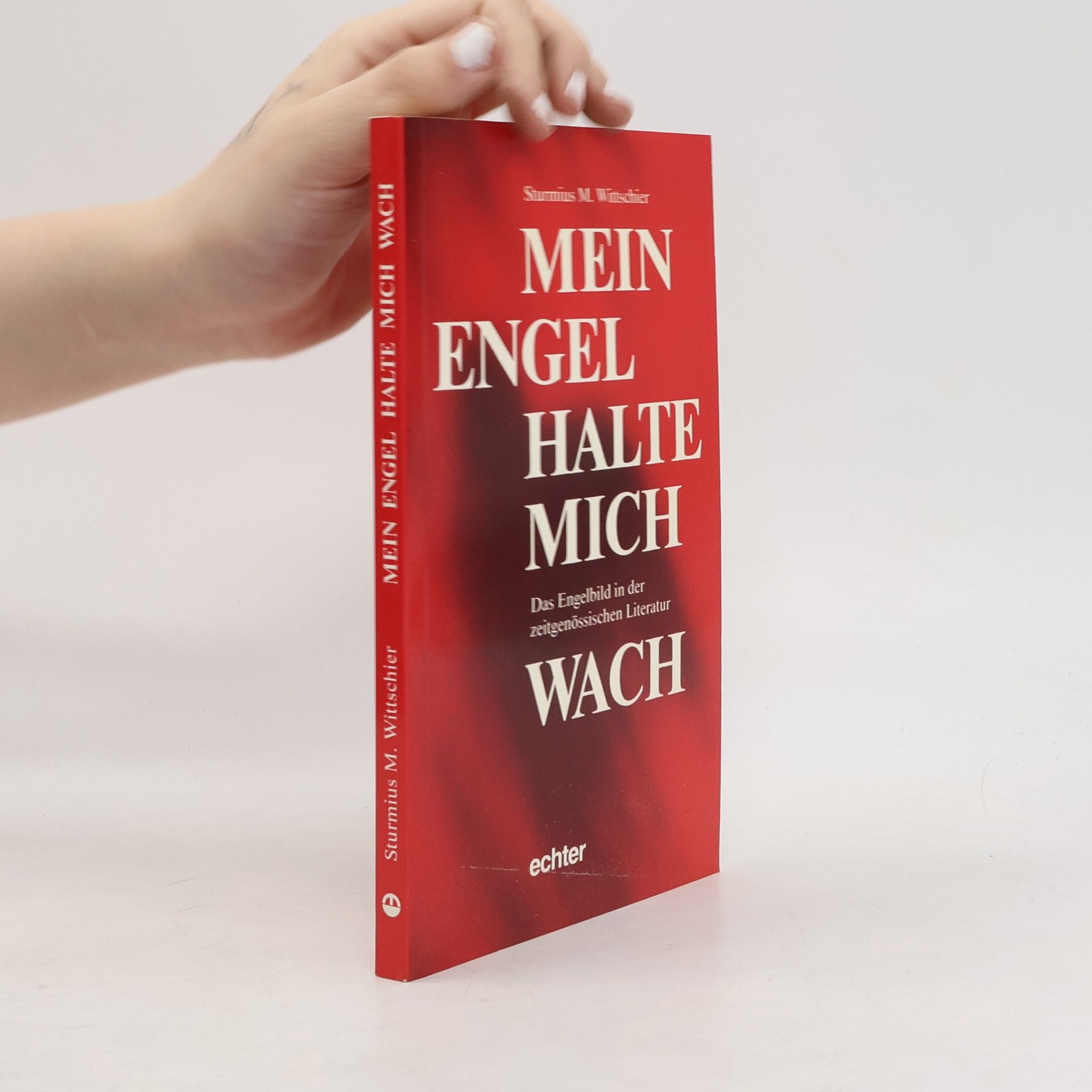Sturmius M. Wittschier Mein Engel halte mich wach