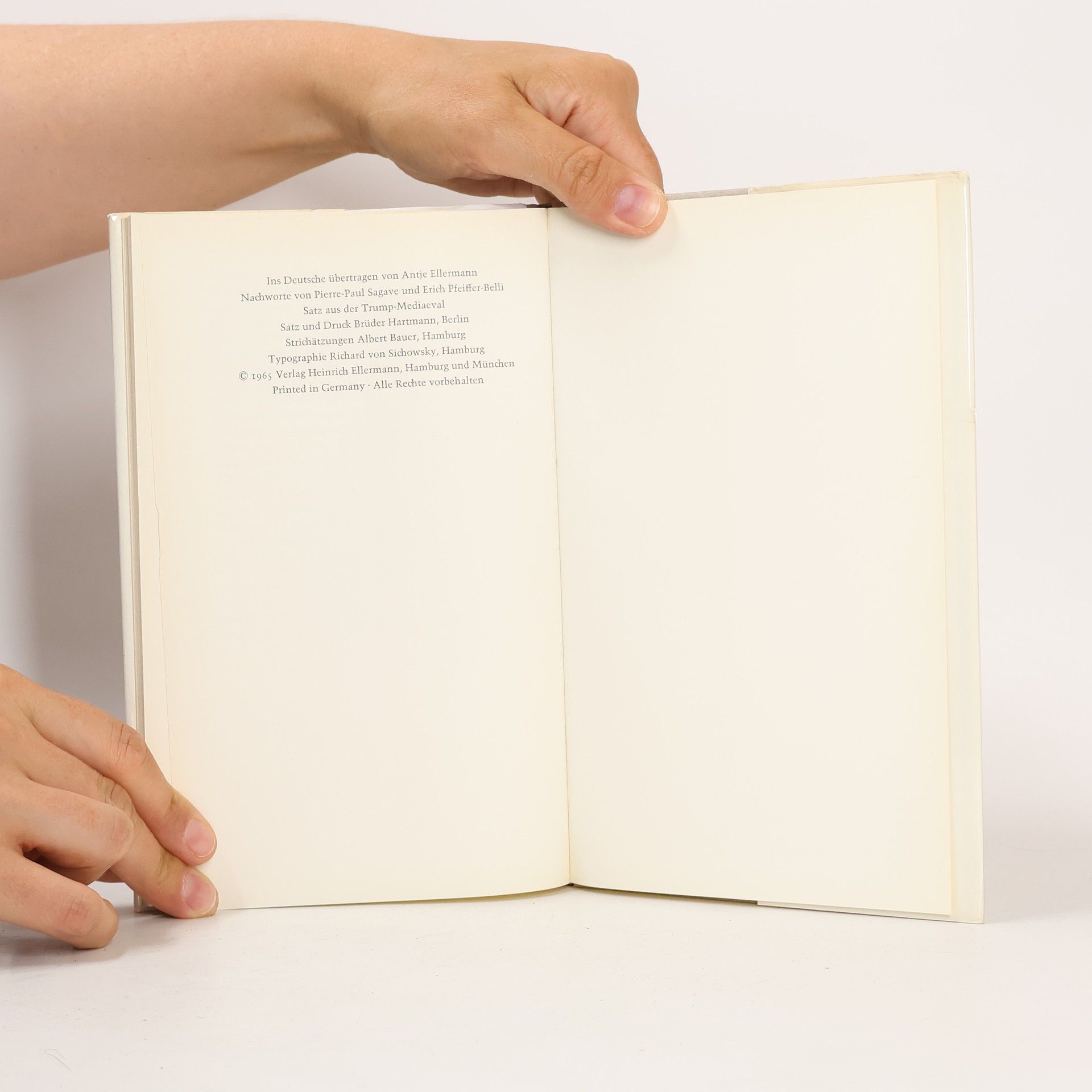 Gustave Flaubert Erinnerungen eines Verrückten