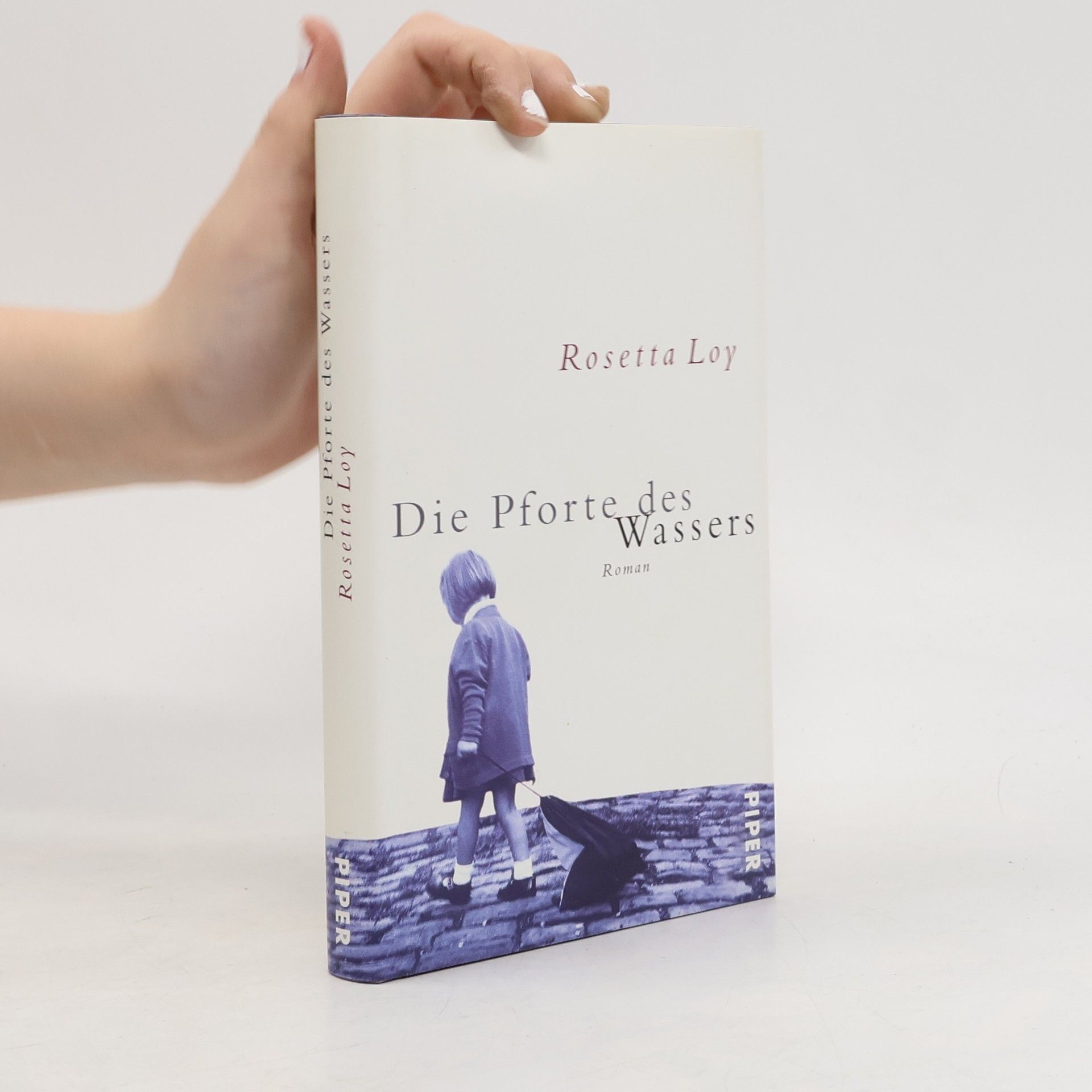 Rosetta Loy Die Pforte des Wassers
