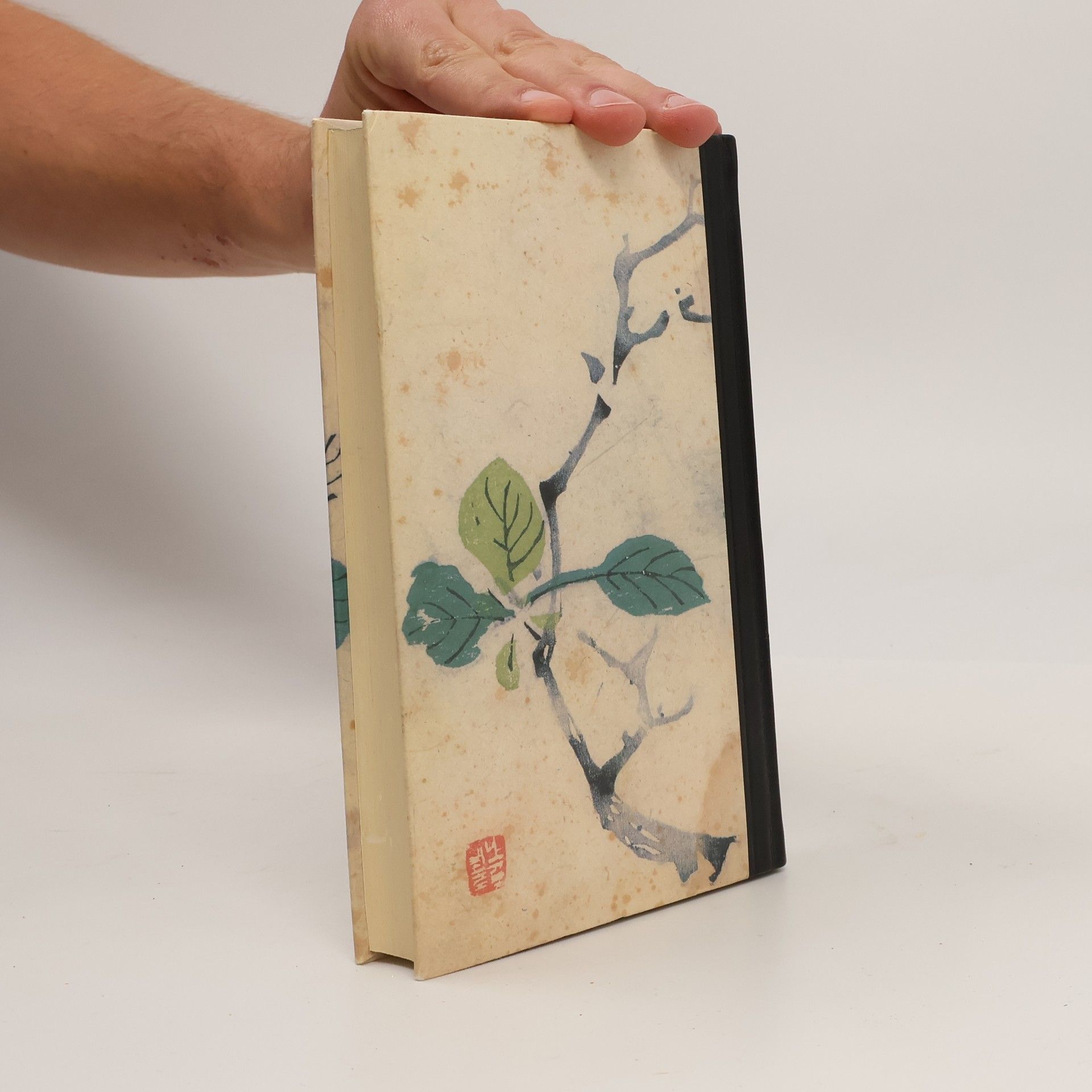 Pearl S. Buck Die Töchter der Madame Liang
