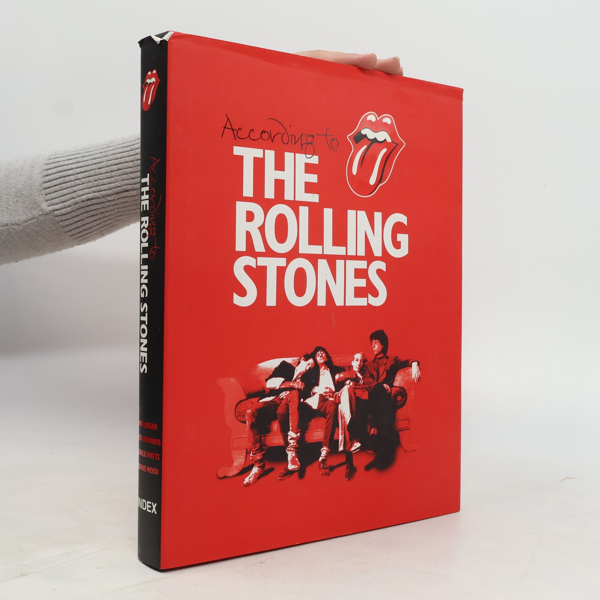 Mick Jagger According to the Rolling Stones
