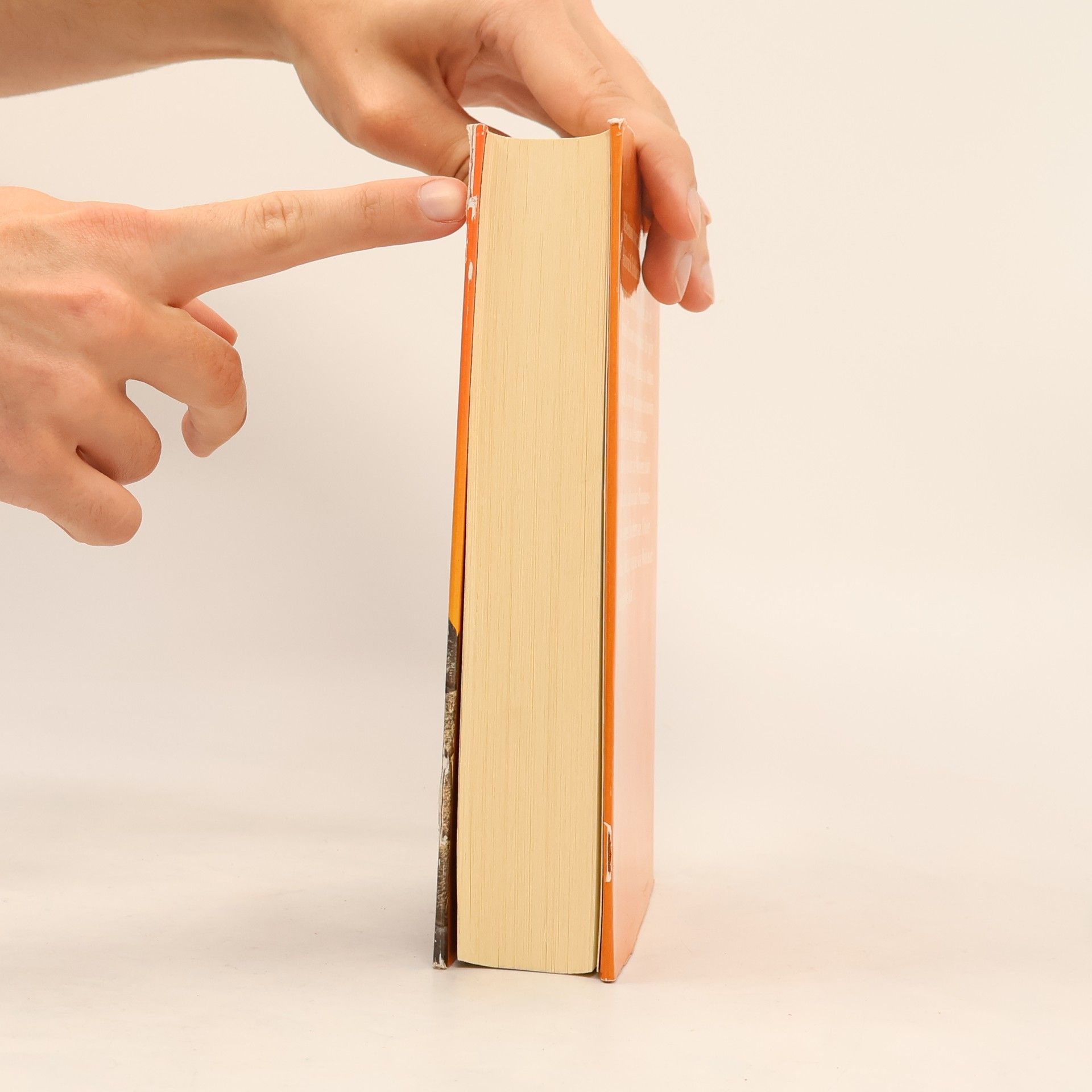 Irving Stone Der griechische Schatz