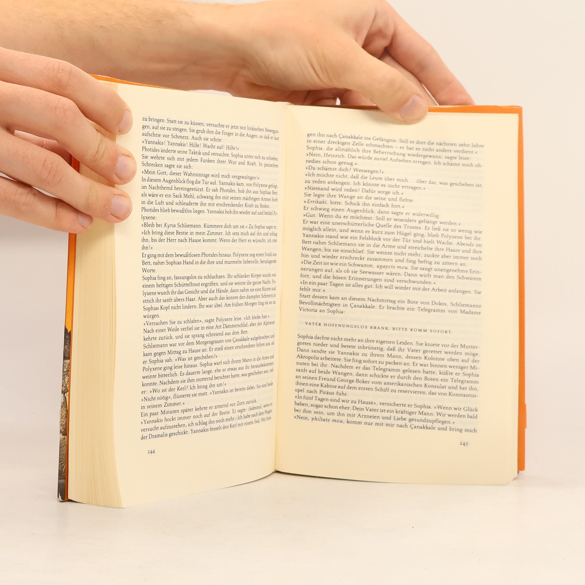Irving Stone Der griechische Schatz