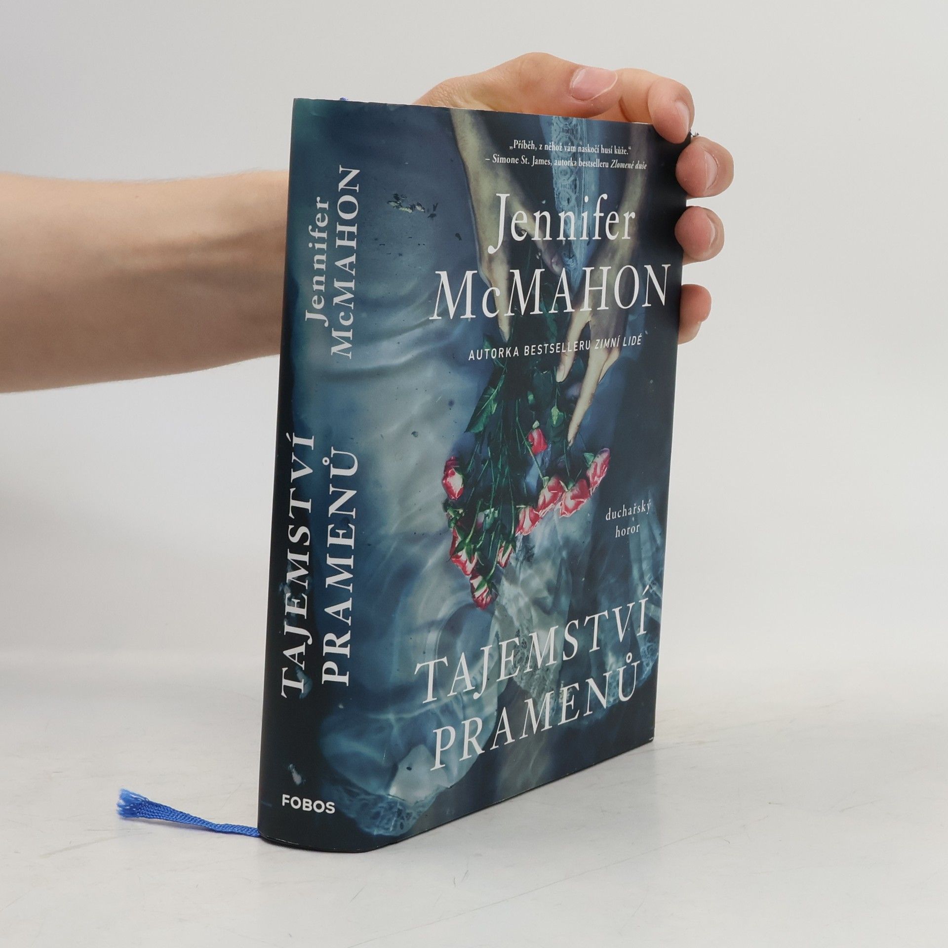 Jennifer McMahon Tajemství pramenů