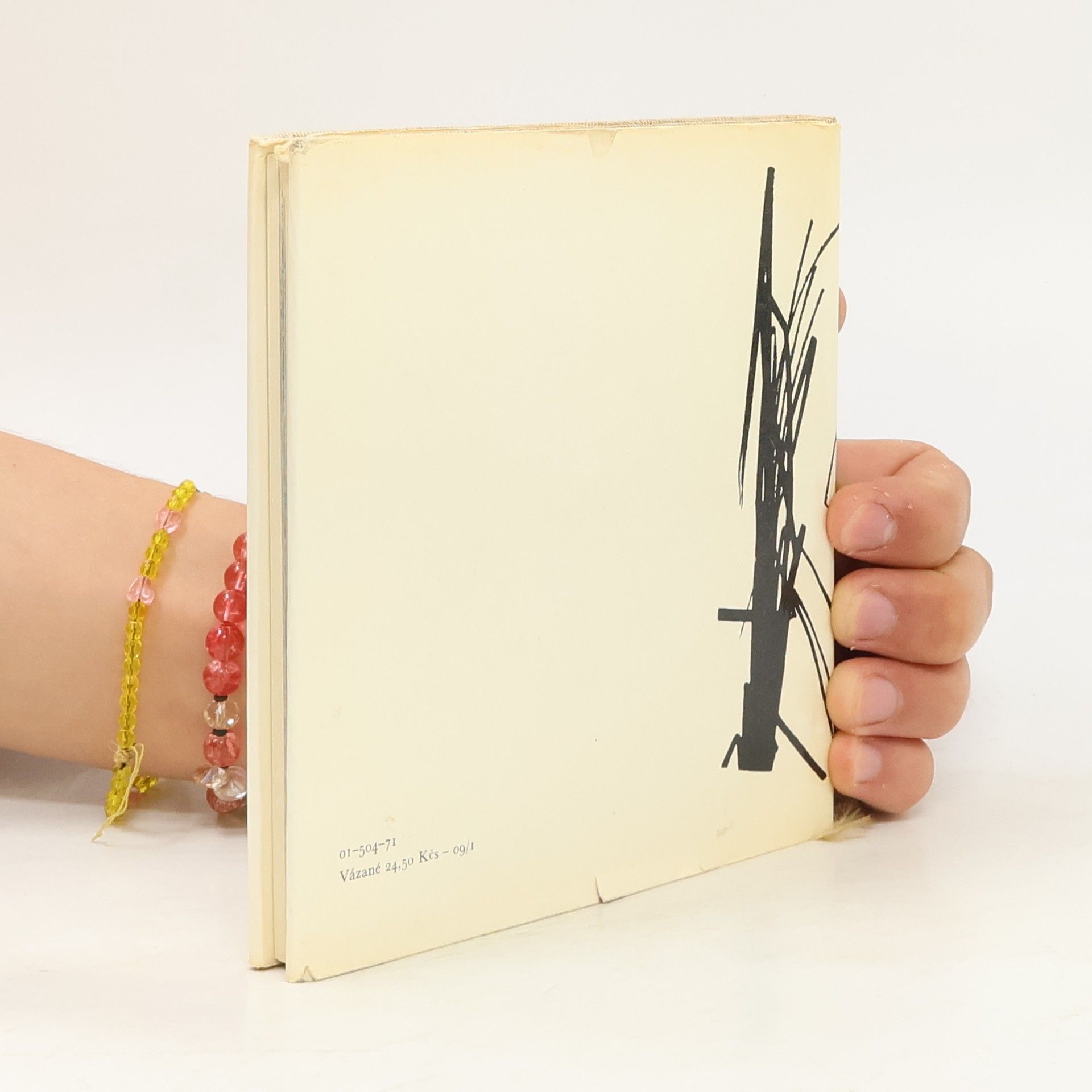 Miroslav Míčko Testament Mistra Wu