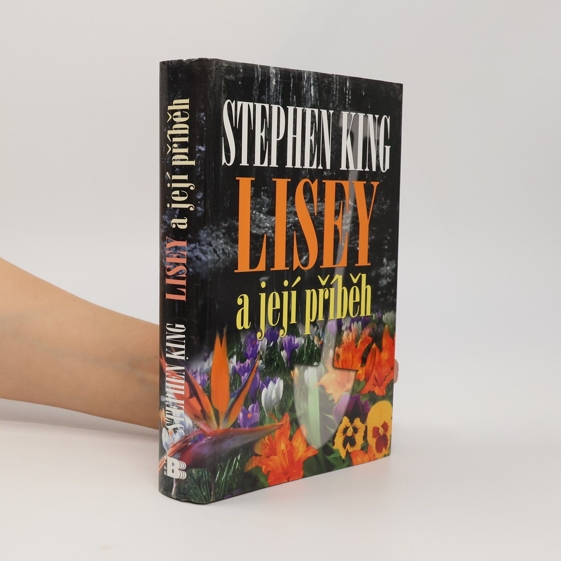 Stephen King Lisey a její příběh