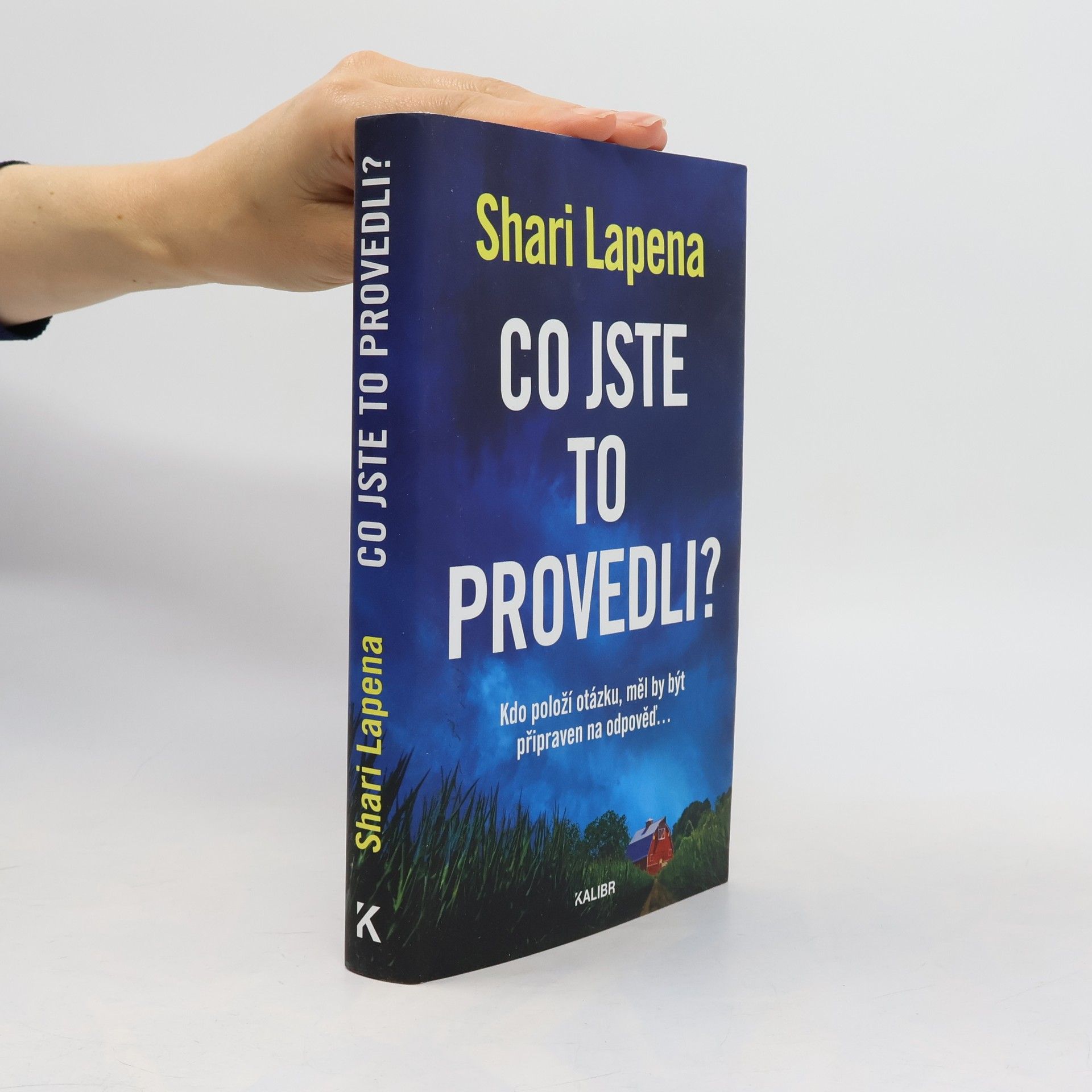 Shari Lapena Co jste to provedli?