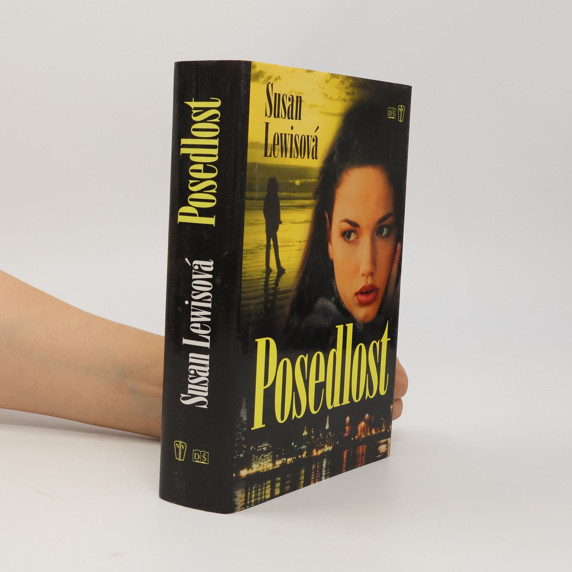 Susan Lewis Posedlost