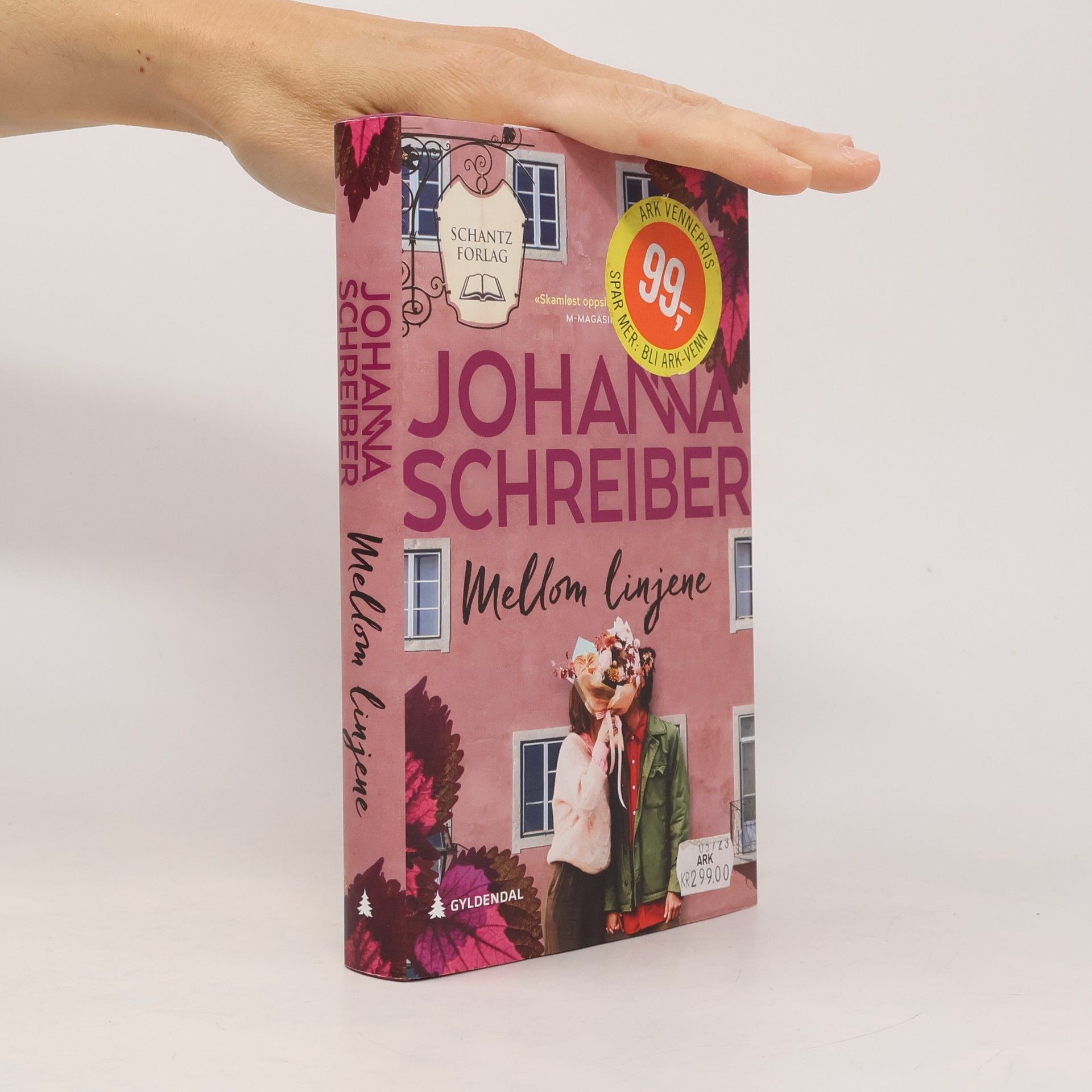 Johanna Schreiber Mellom linjene