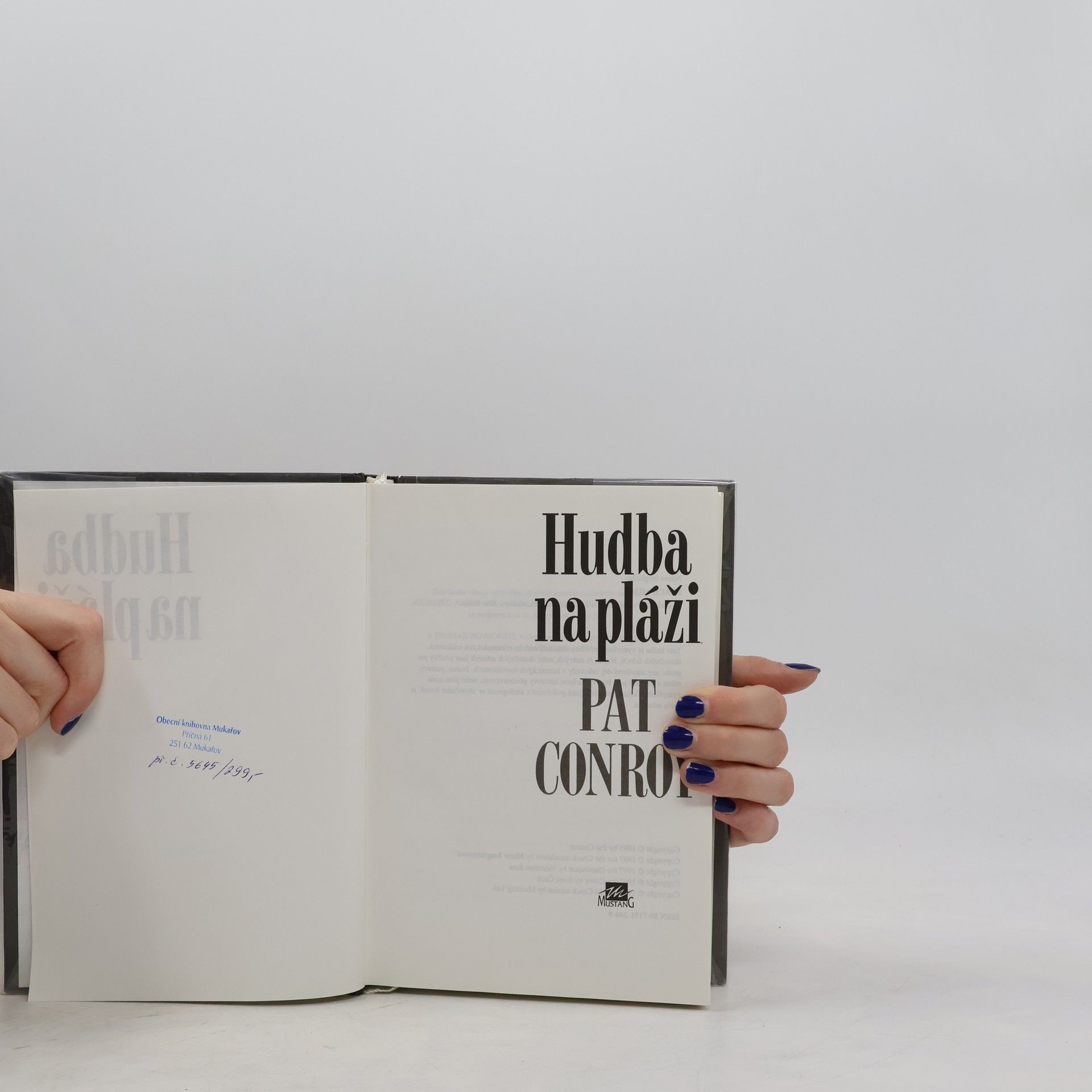 Pat Conroy Hudba na pláži