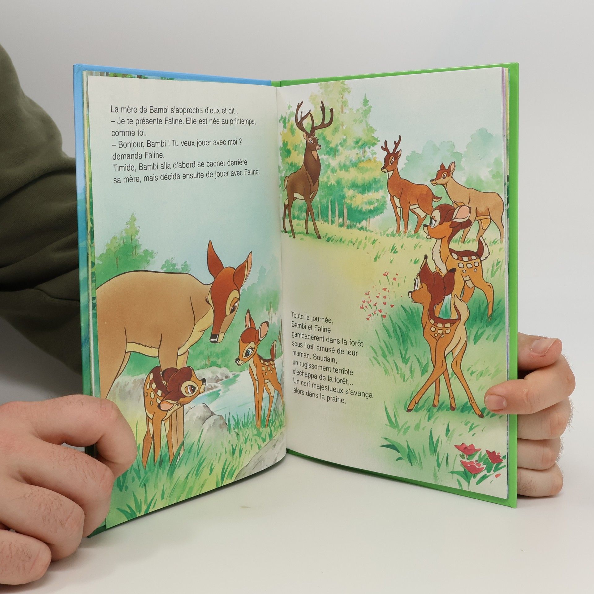 Kolektiv autorů Bambi