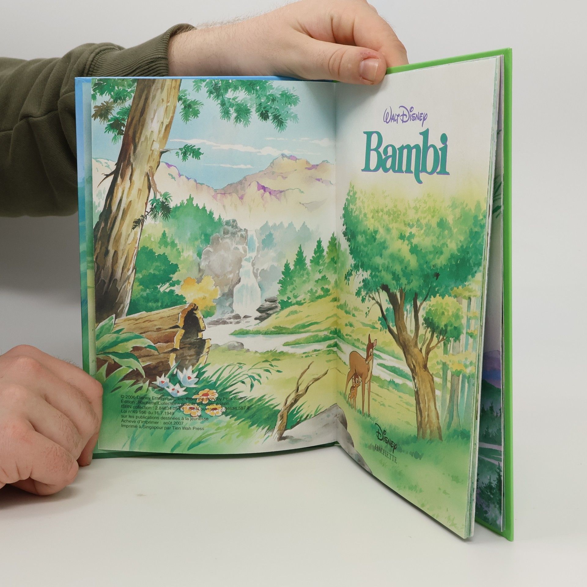 Kolektiv autorů Bambi