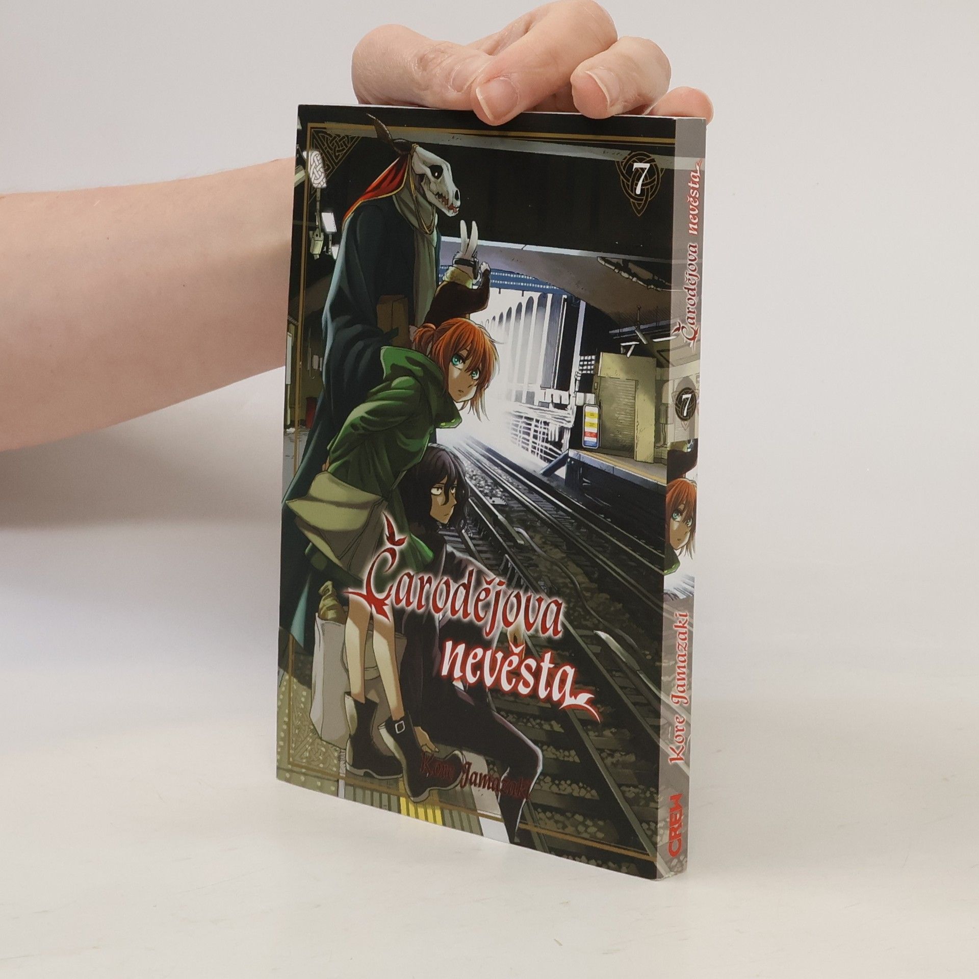 Kore Jamazaki Čarodějova nevěsta 7