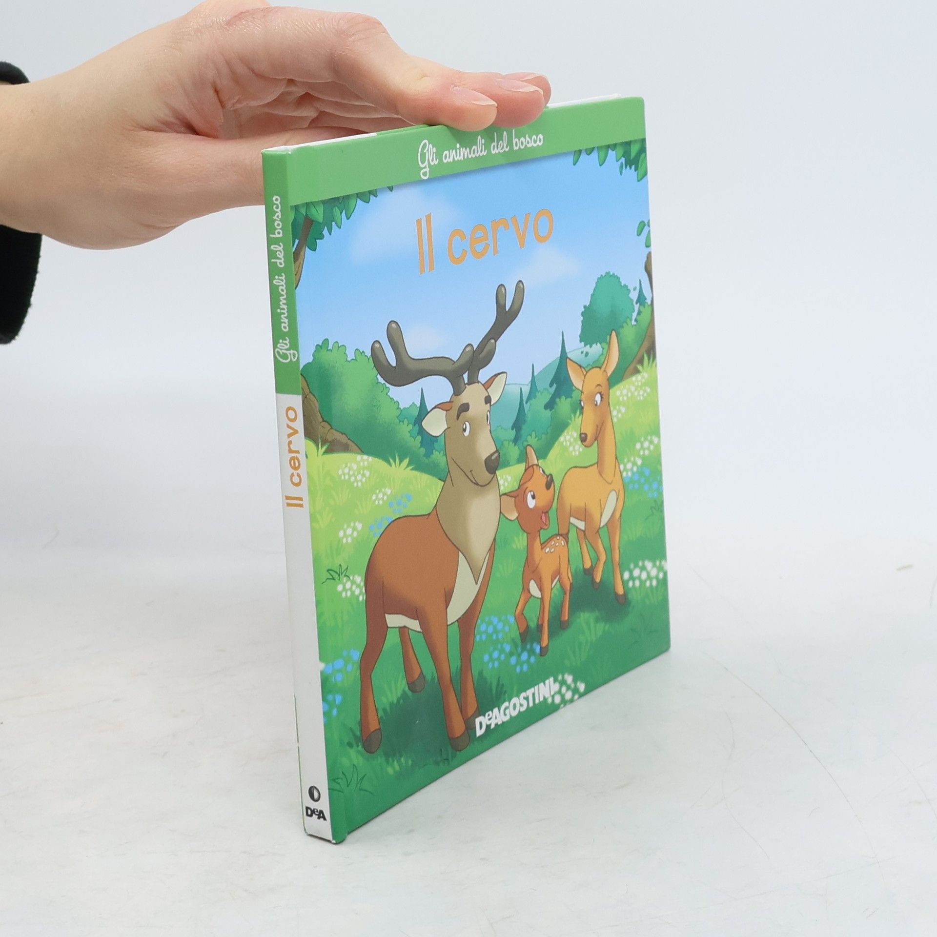 Autorenkollektiv Il cervo. Gli animali del bosco