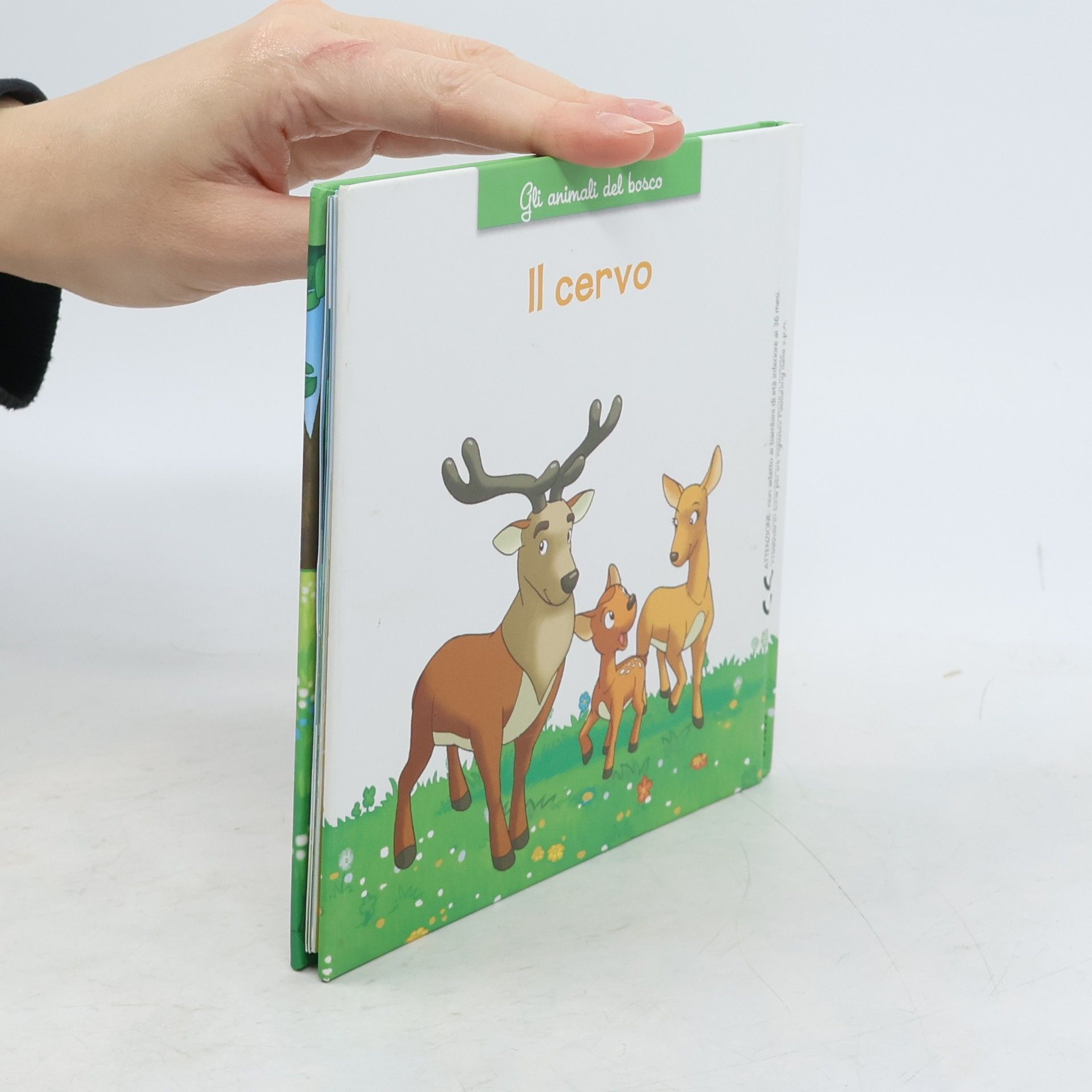 Autorenkollektiv Il cervo. Gli animali del bosco