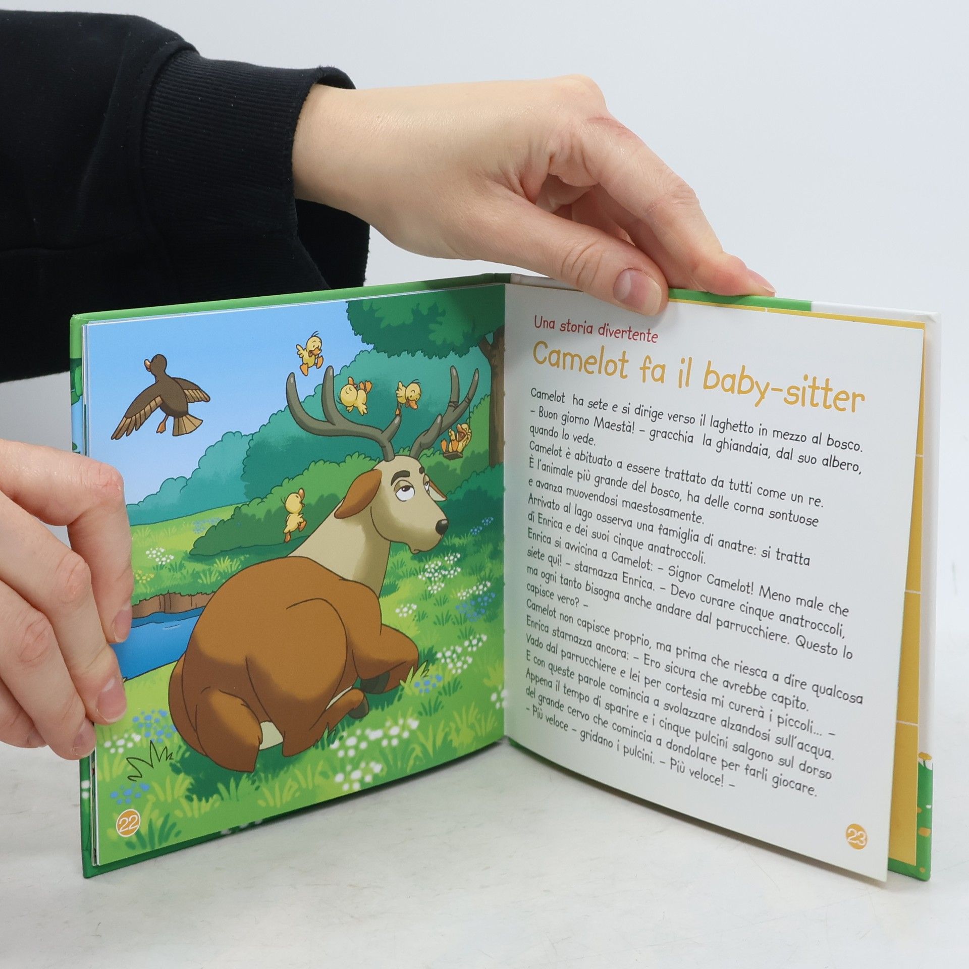 Autorenkollektiv Il cervo. Gli animali del bosco