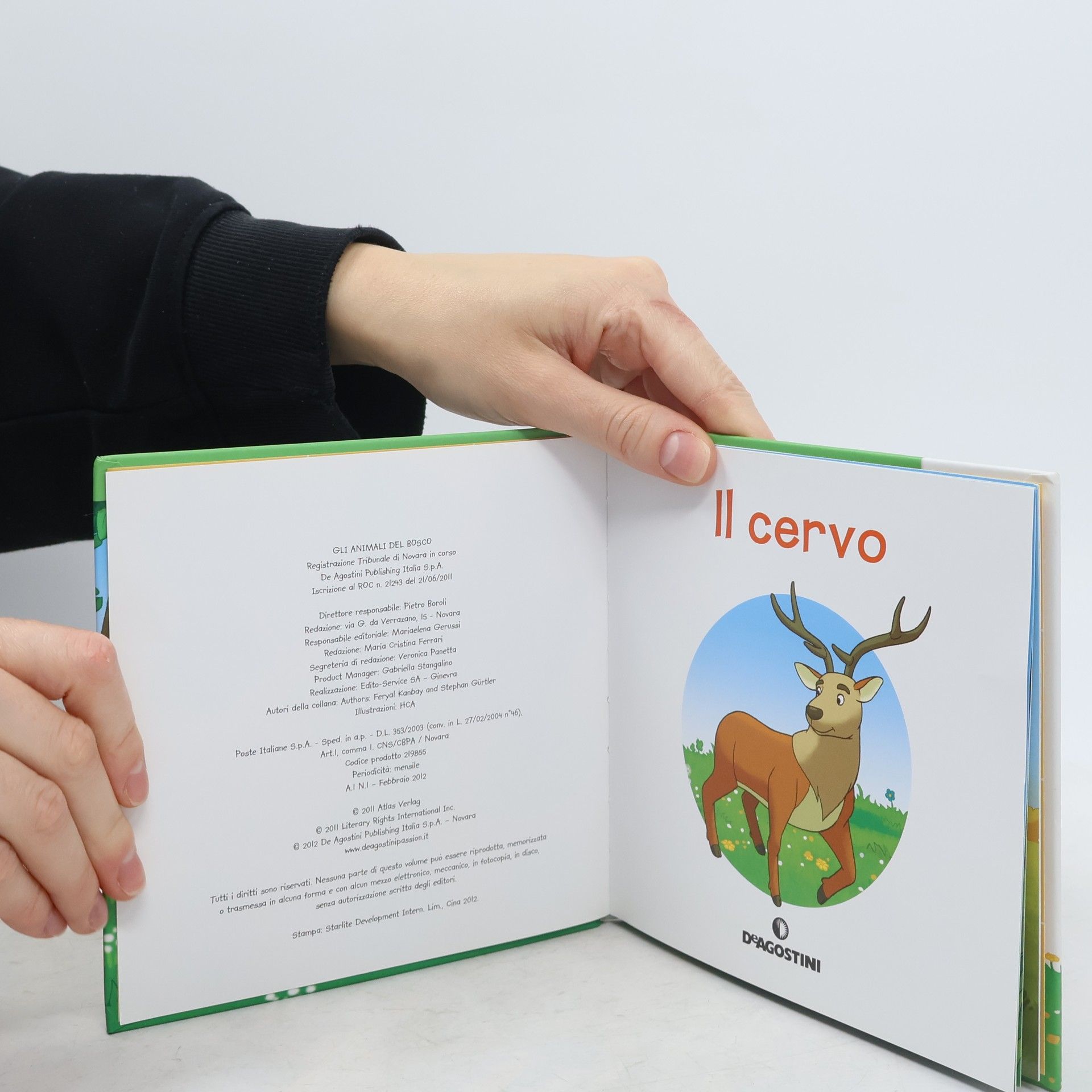 Autorenkollektiv Il cervo. Gli animali del bosco