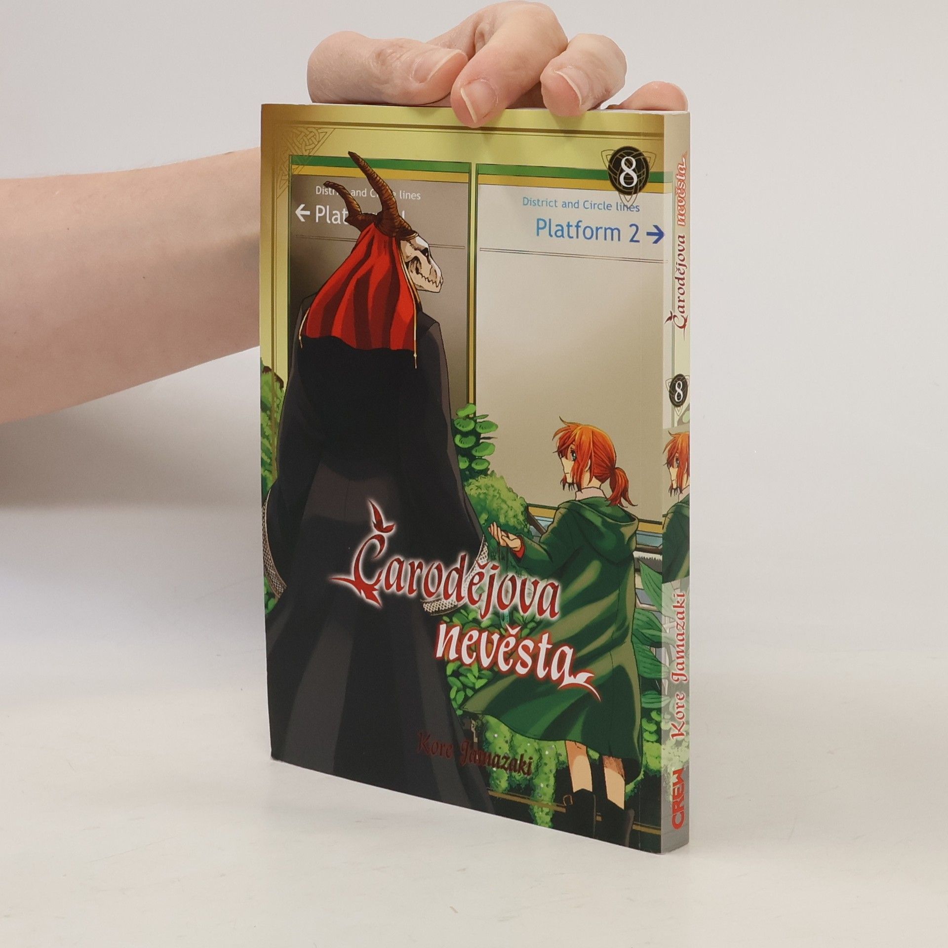 Kore Jamazaki Čarodějova nevěsta 8