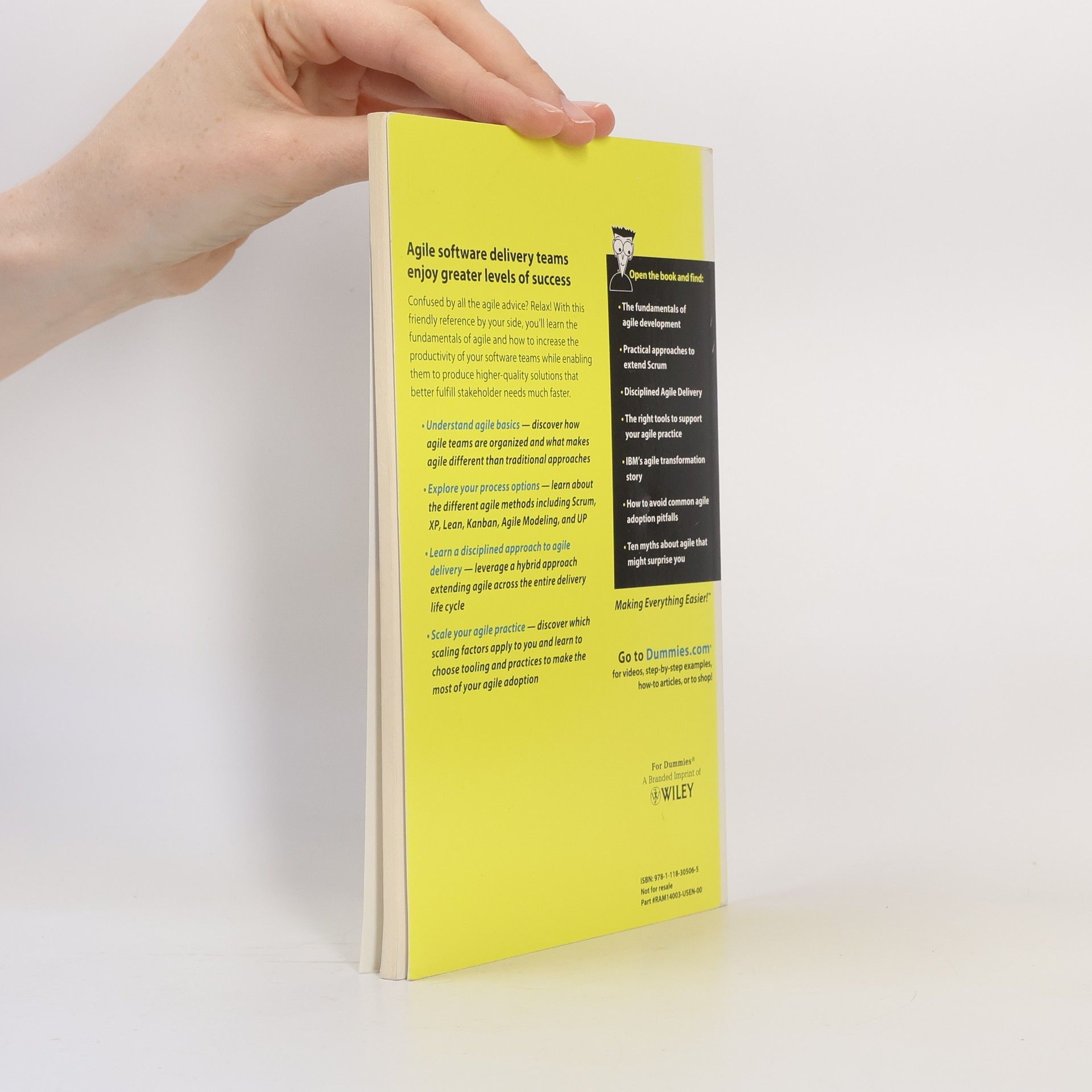 Scott Ambler Agile for dummies IBM limited edition
