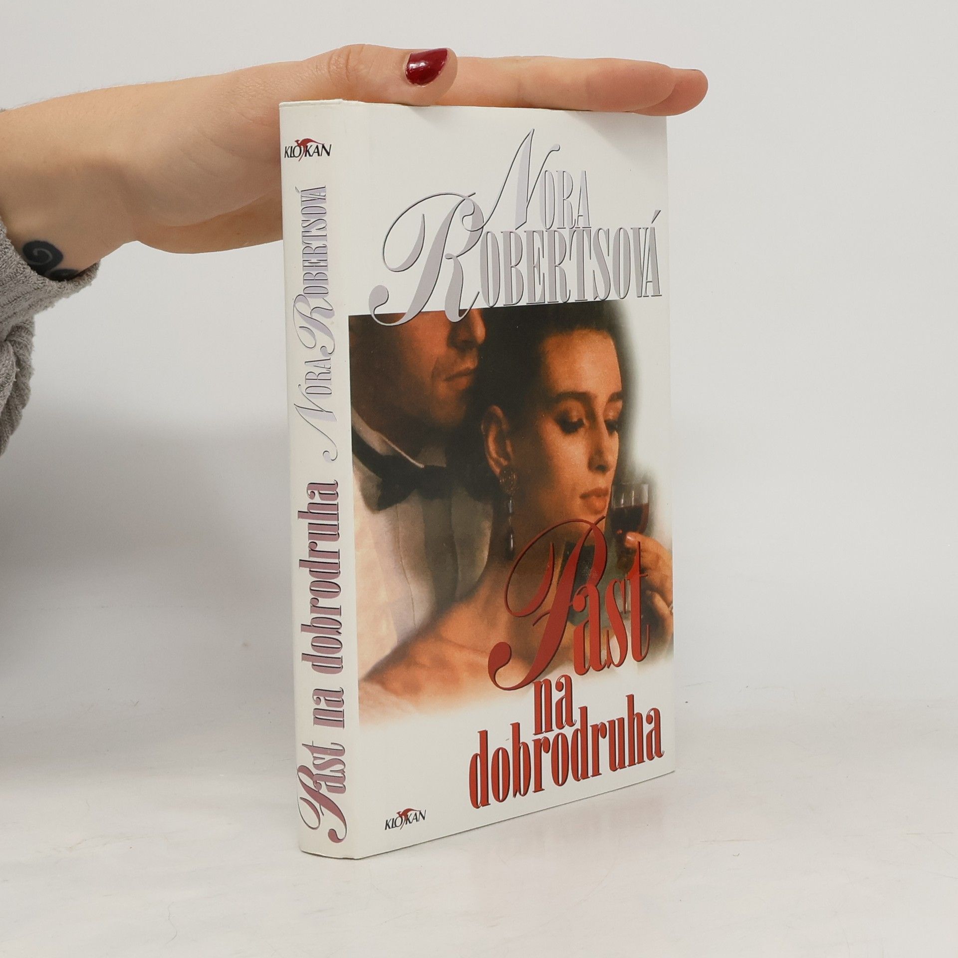 Nora Roberts Past na dobrodruha